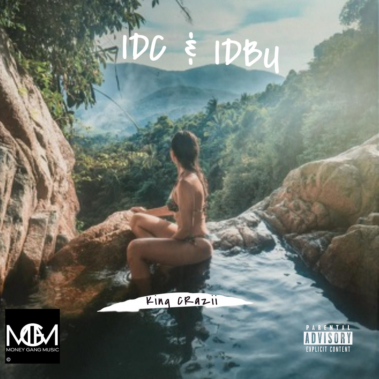 Постер альбома IDC & IDBU