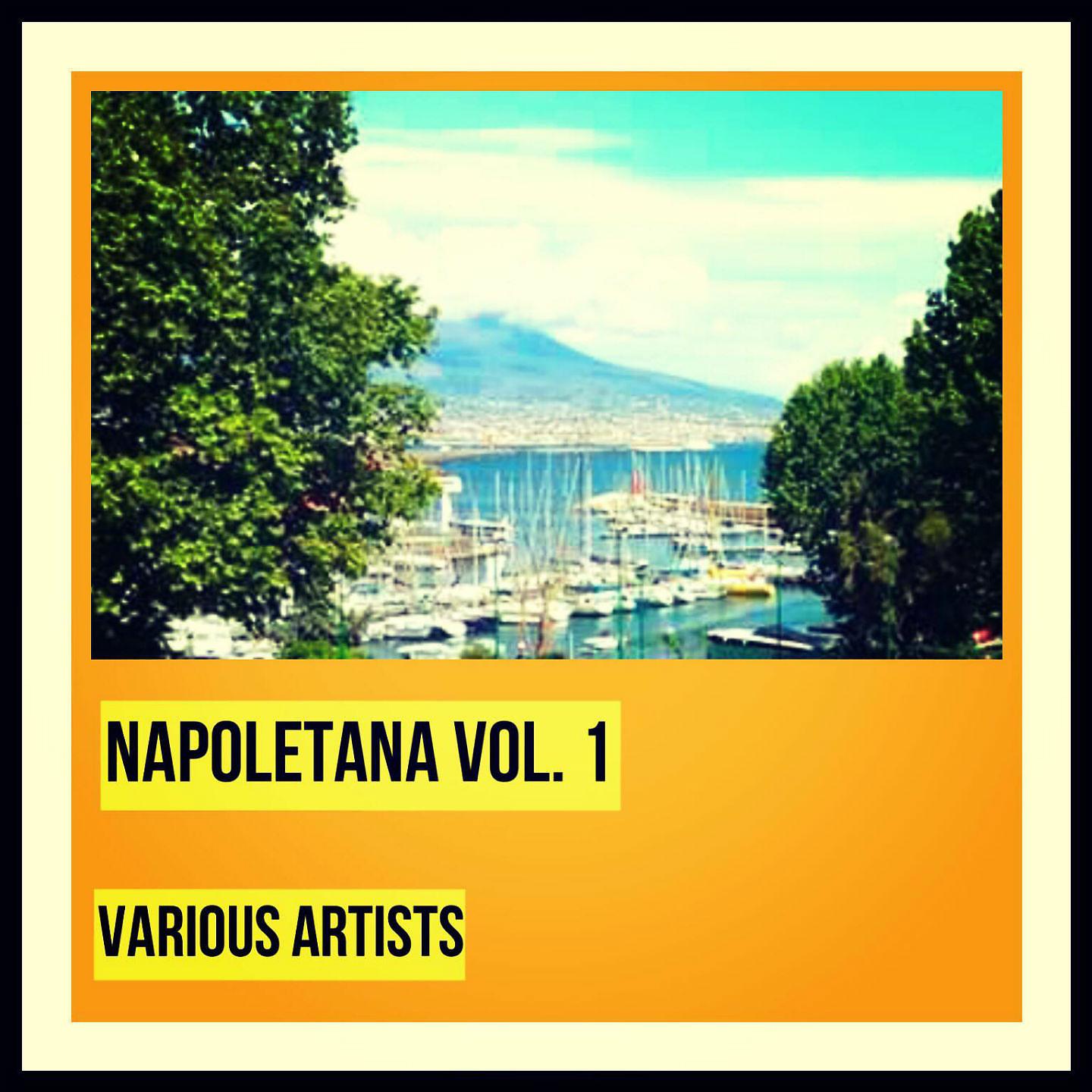 Постер альбома Napoletana, Vol. 1