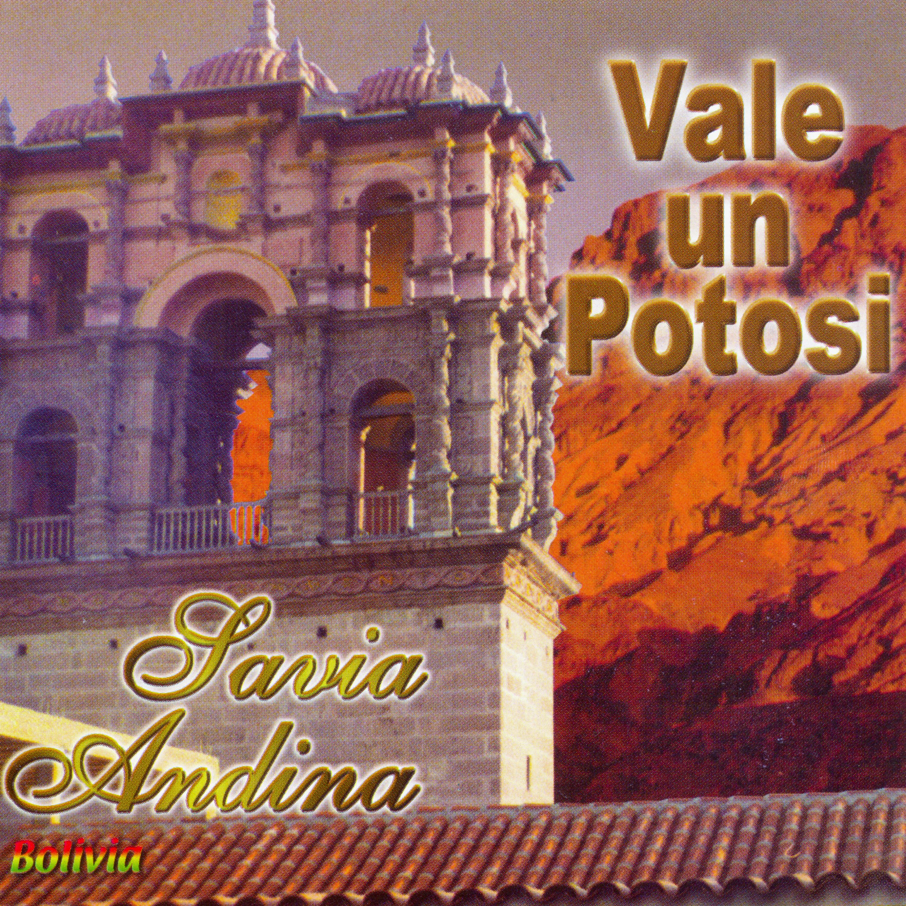 Постер альбома Vale un Potosí