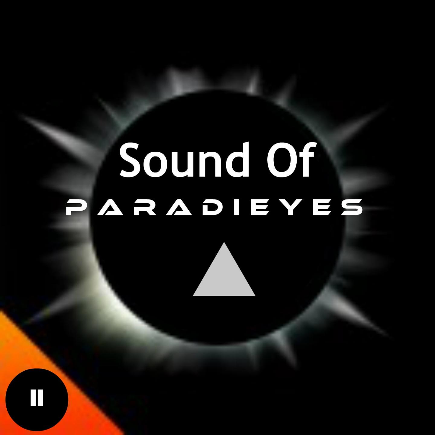 Постер альбома Sound Of Paradieyes