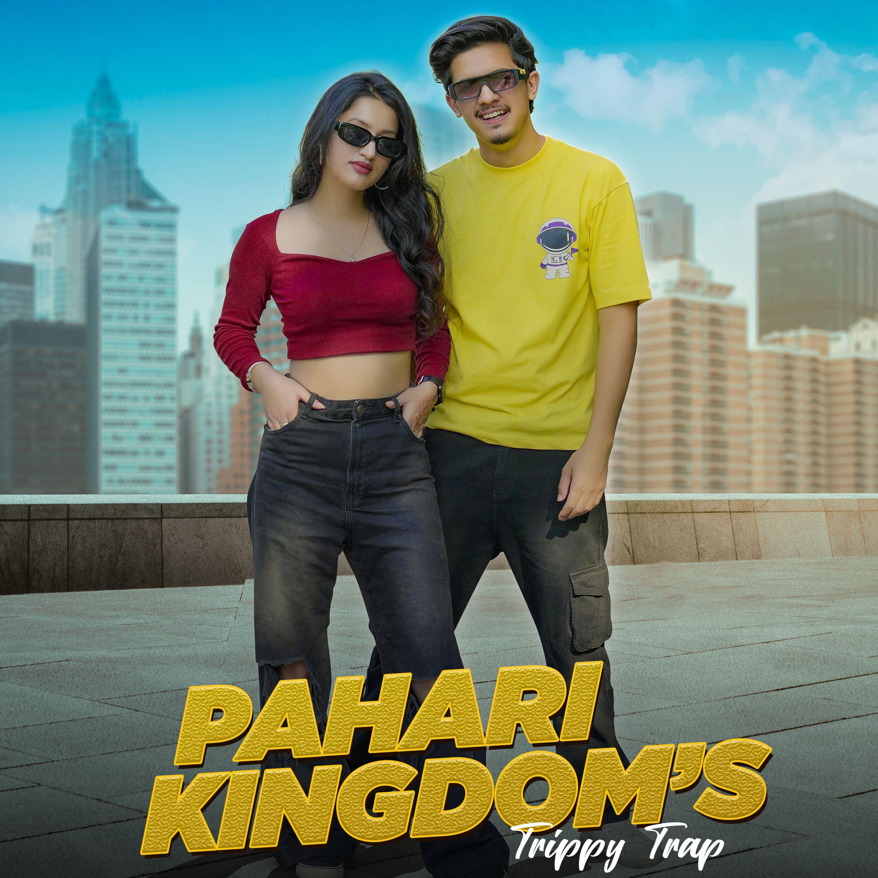 Постер альбома Pahari Kingdom's