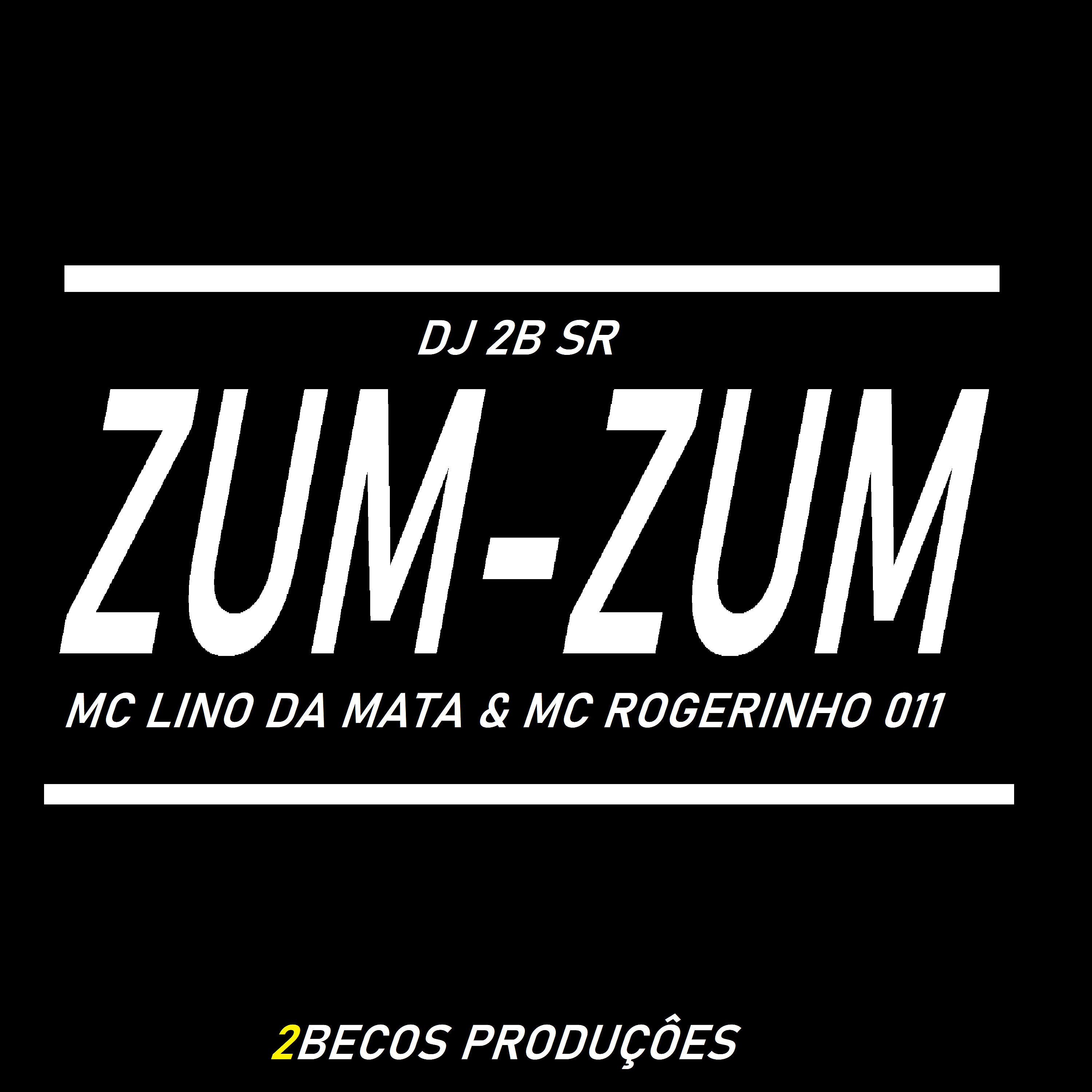Постер альбома Zum-Zum