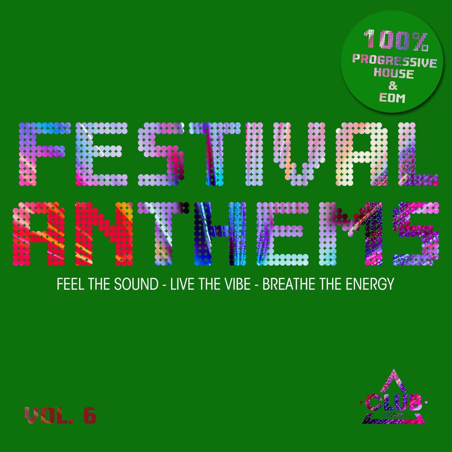 Постер альбома Festival Anthems, Vol. 6