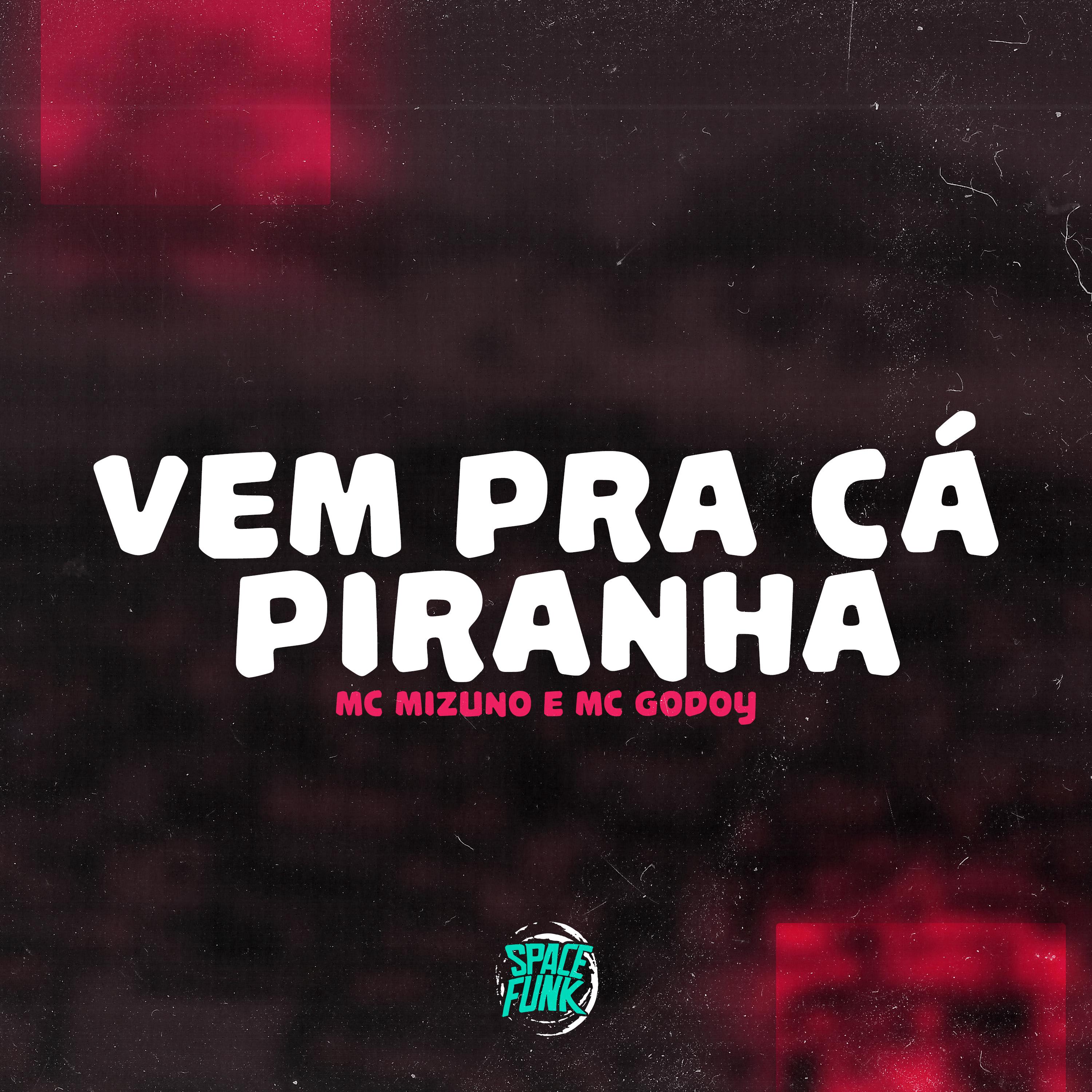 Постер альбома Vem pra Cá Piranha