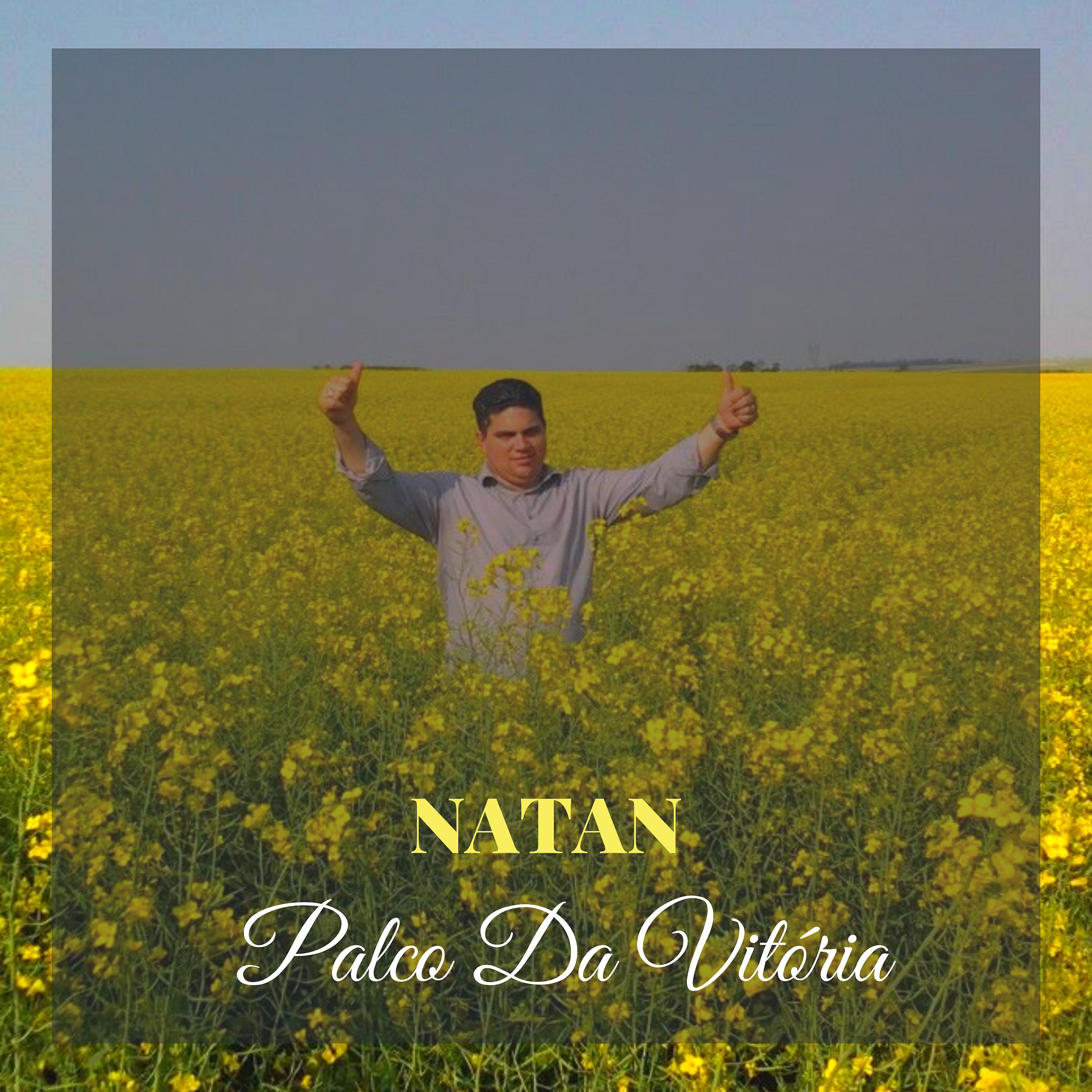 Постер альбома Palco da Vitória