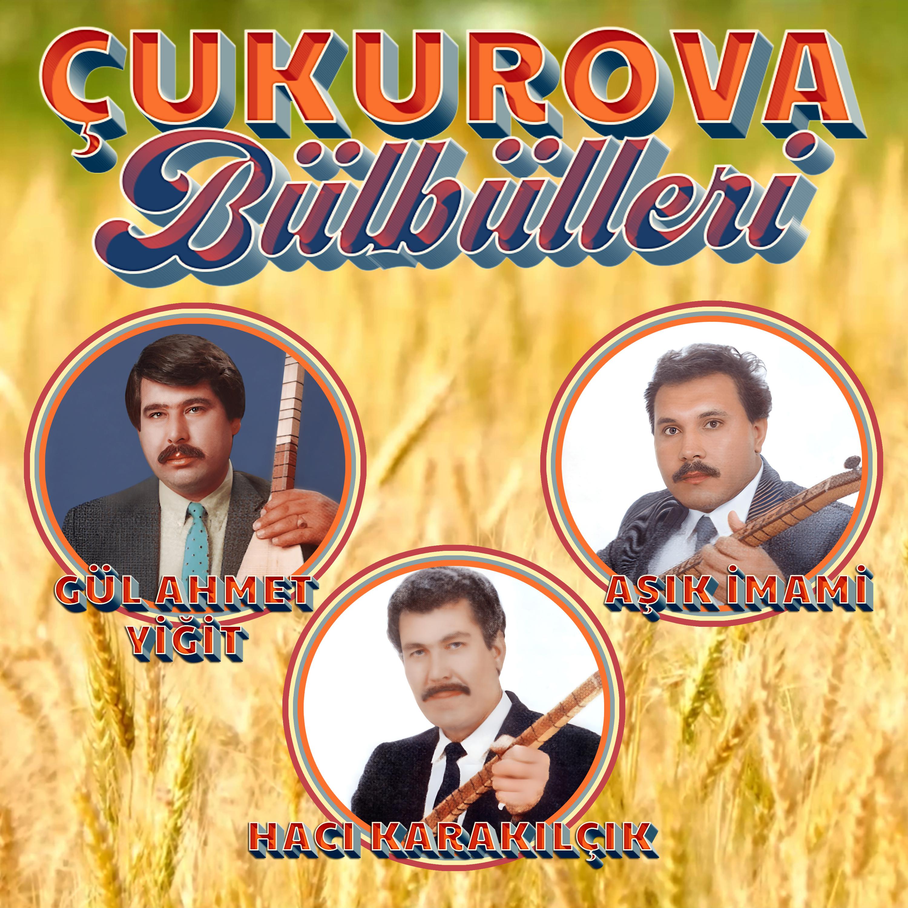 Постер альбома Çukurova Bülbülleri