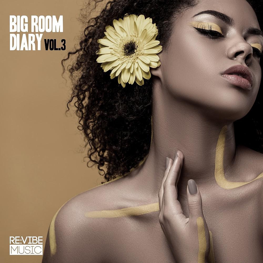 Постер альбома Big Room Diary, Vol. 3