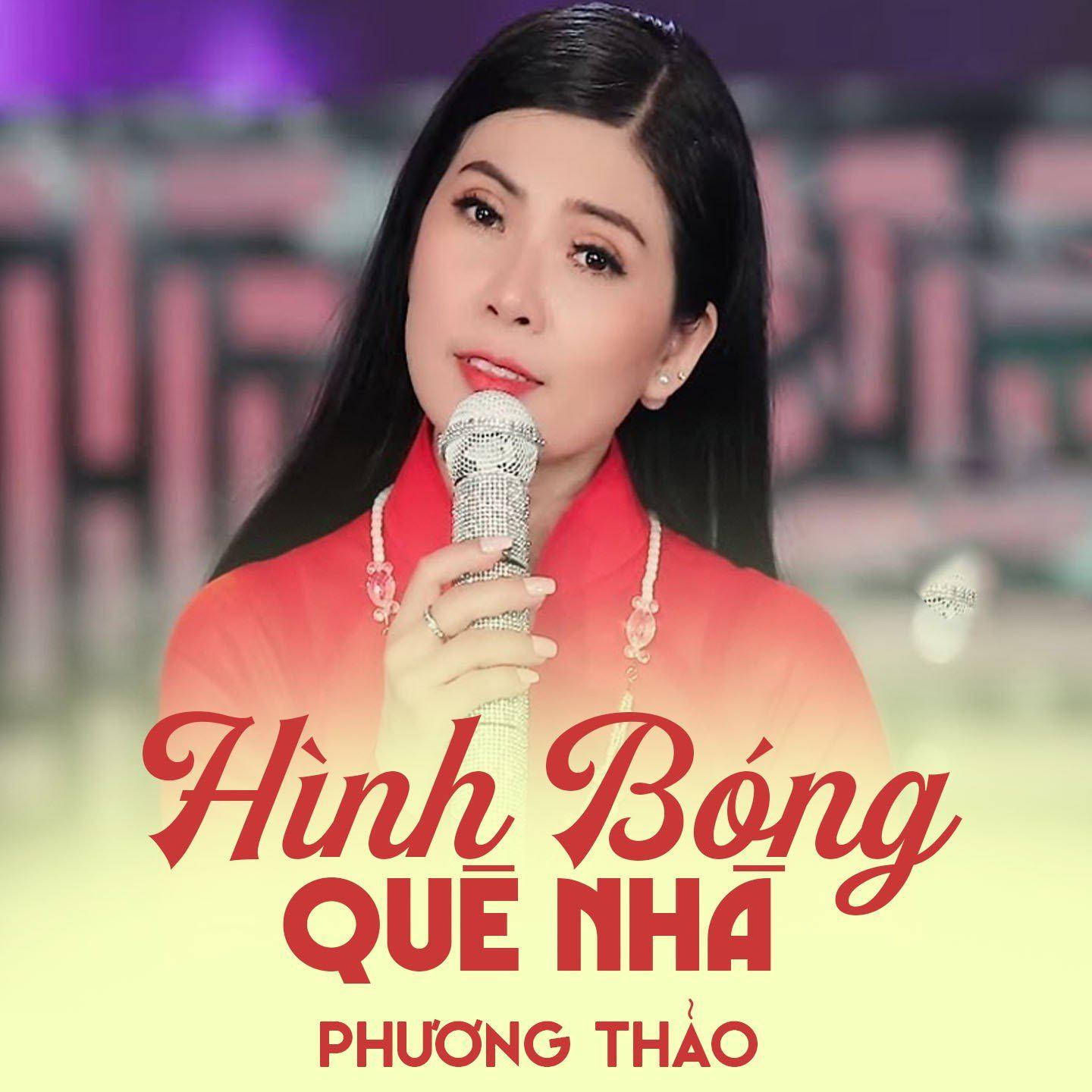 Постер альбома Hình Bóng Quê Nhà