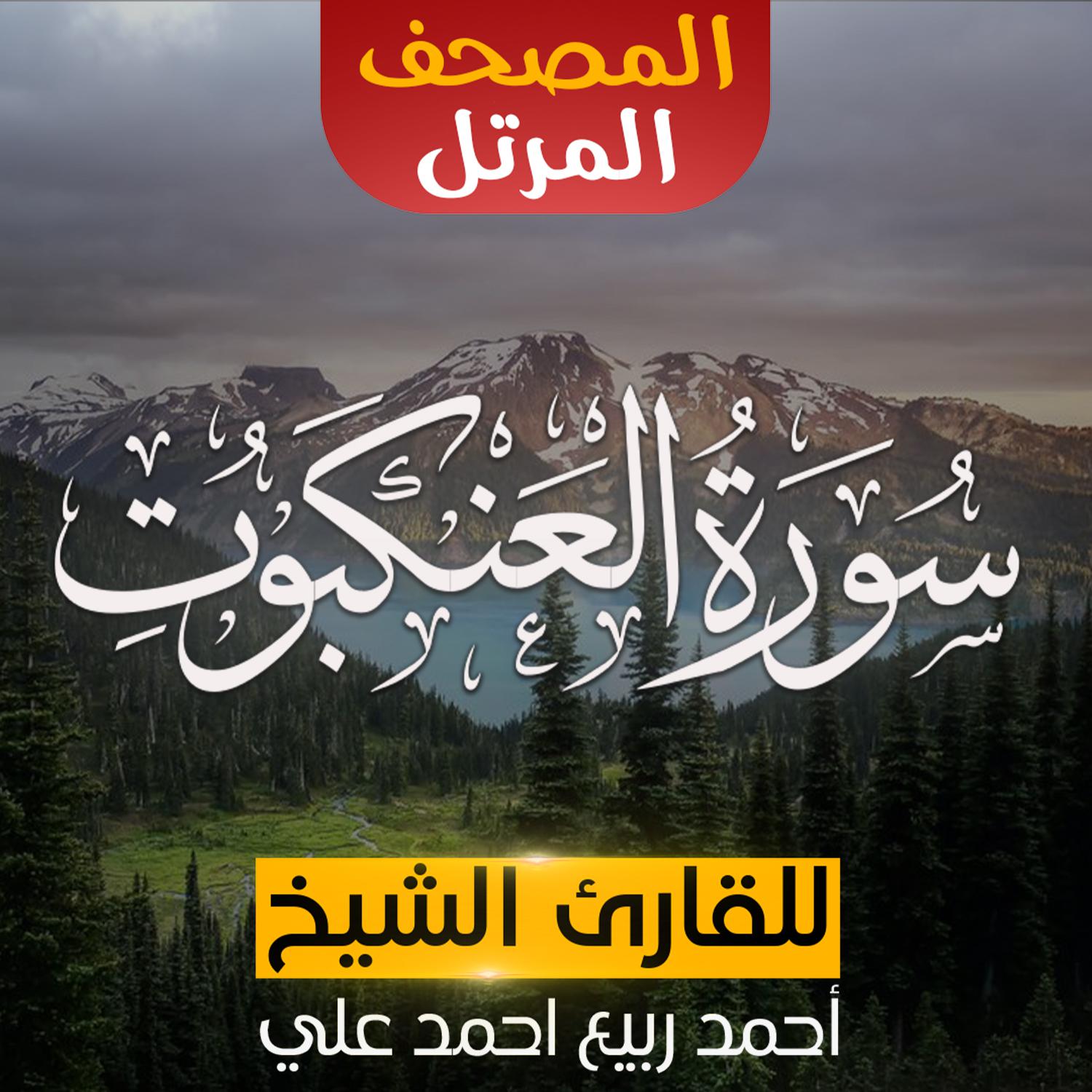 Постер альбома سورة العنكبوت