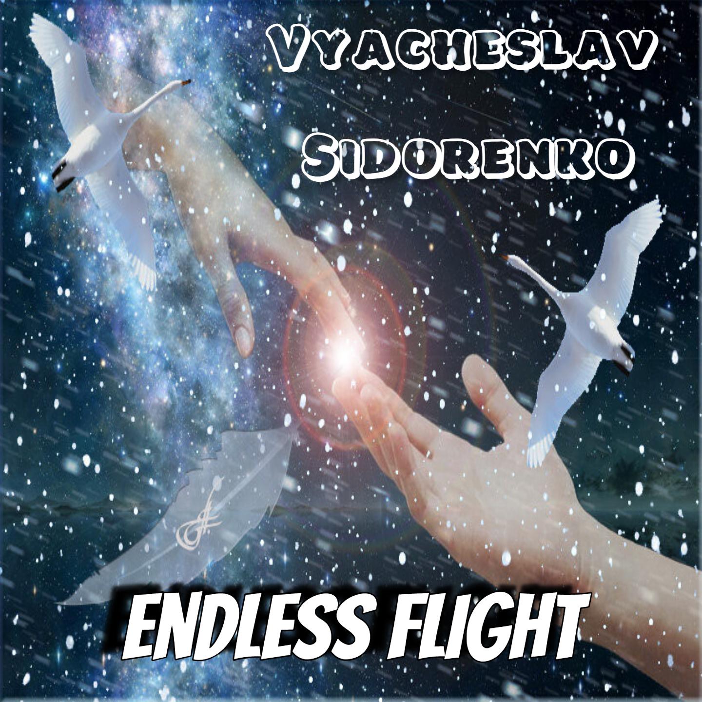 Постер альбома Endless Flight