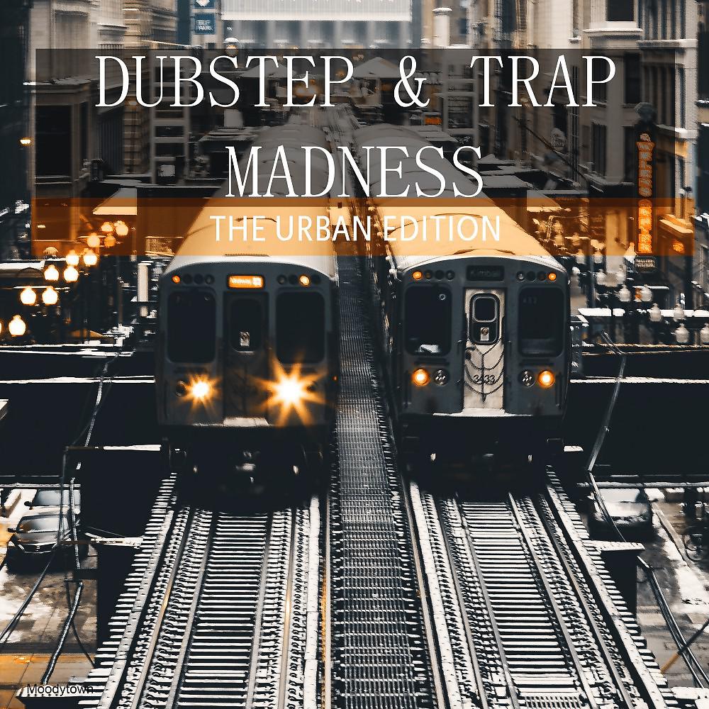 Постер альбома Dubstep & Trap Madness the Urban Edition