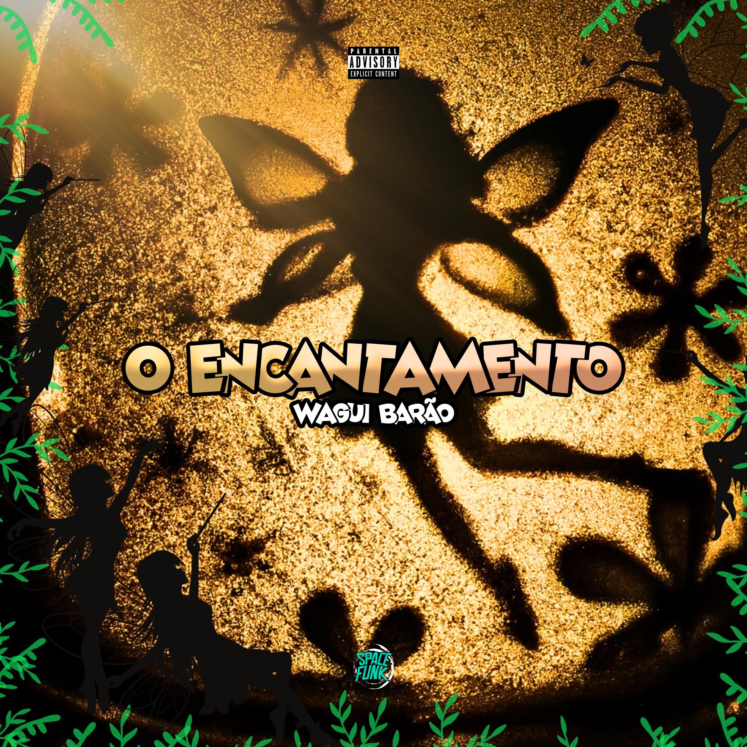 Постер альбома O Encantamento