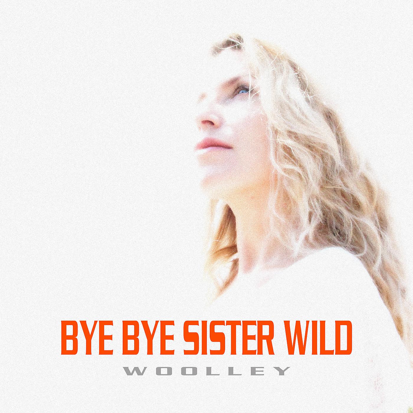 Постер альбома Bye Bye Sister Wild