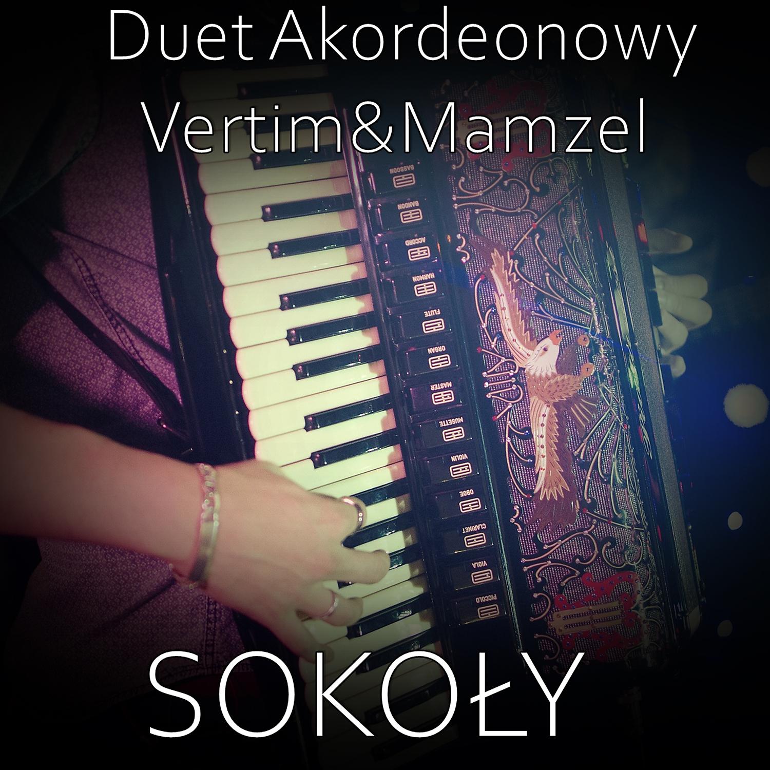 Постер альбома Sokoly