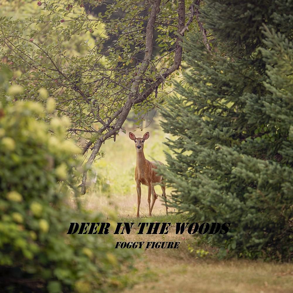 Постер альбома Deer in the Woods