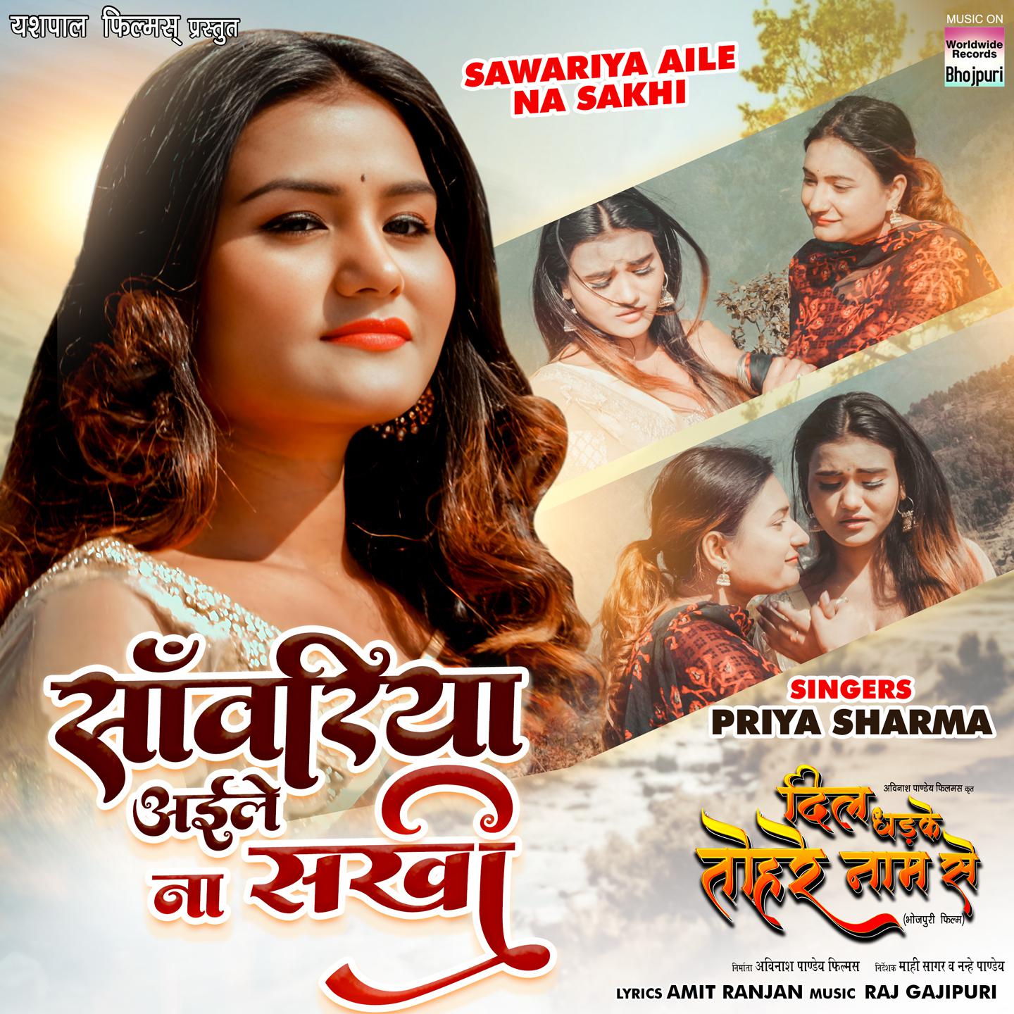 Постер альбома Sawariya Aile Na Sakhi