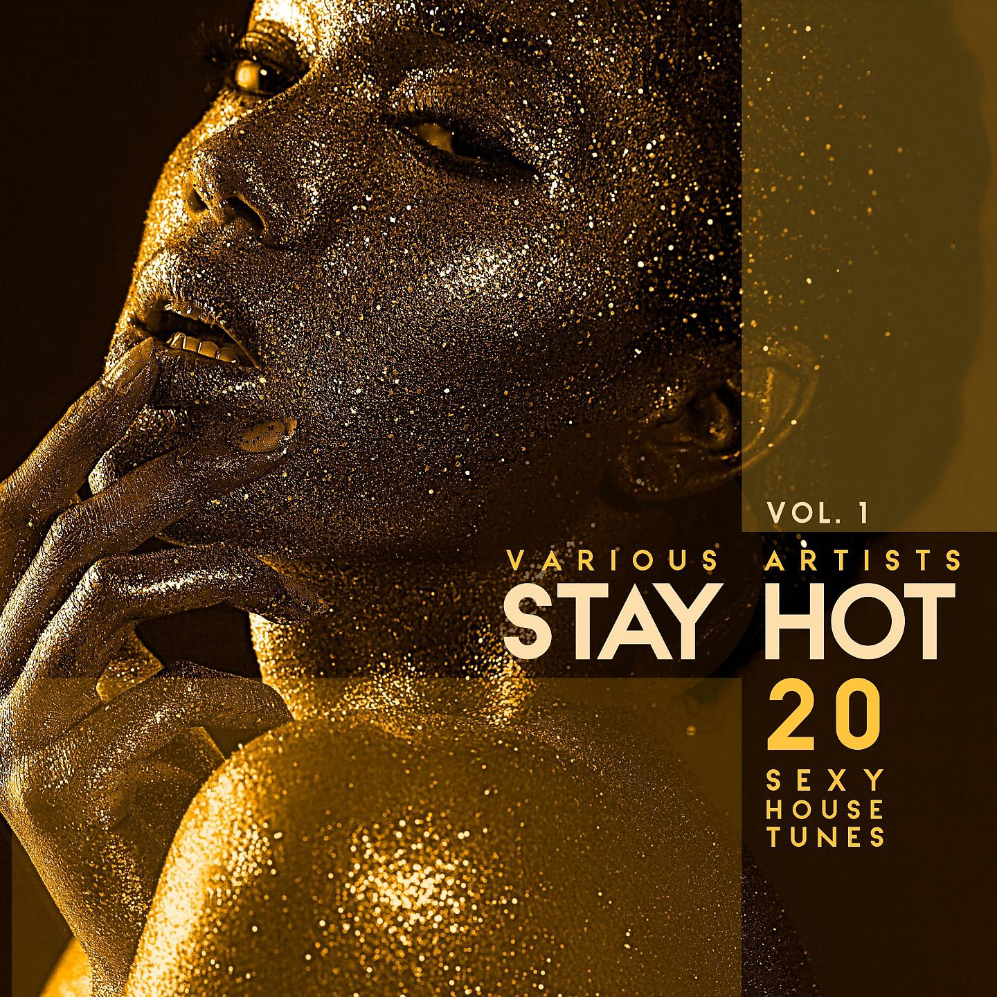 Постер альбома Stay Hot, Vol. 1 (20 Sexy House Tunes)