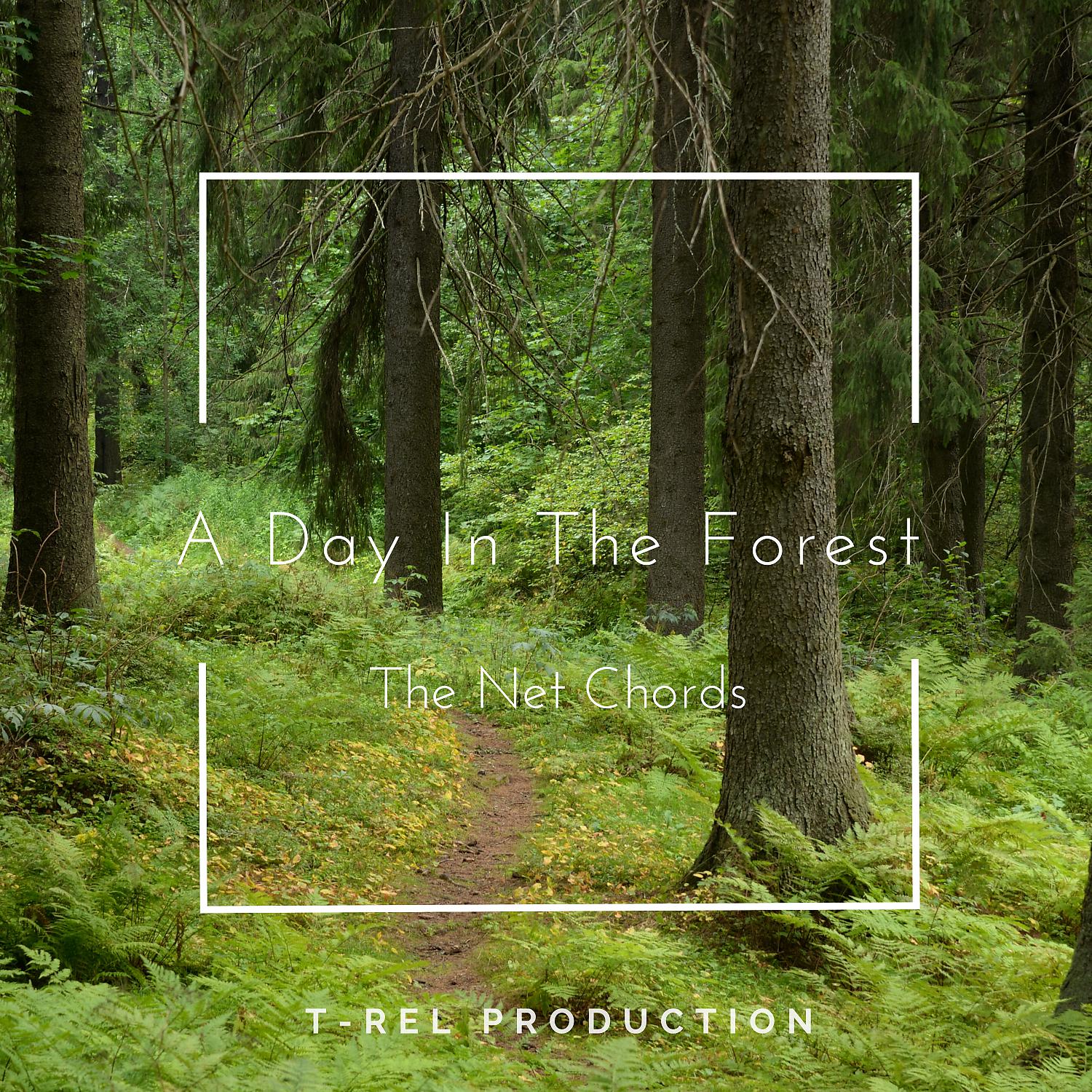 Постер альбома A Day In The Forest