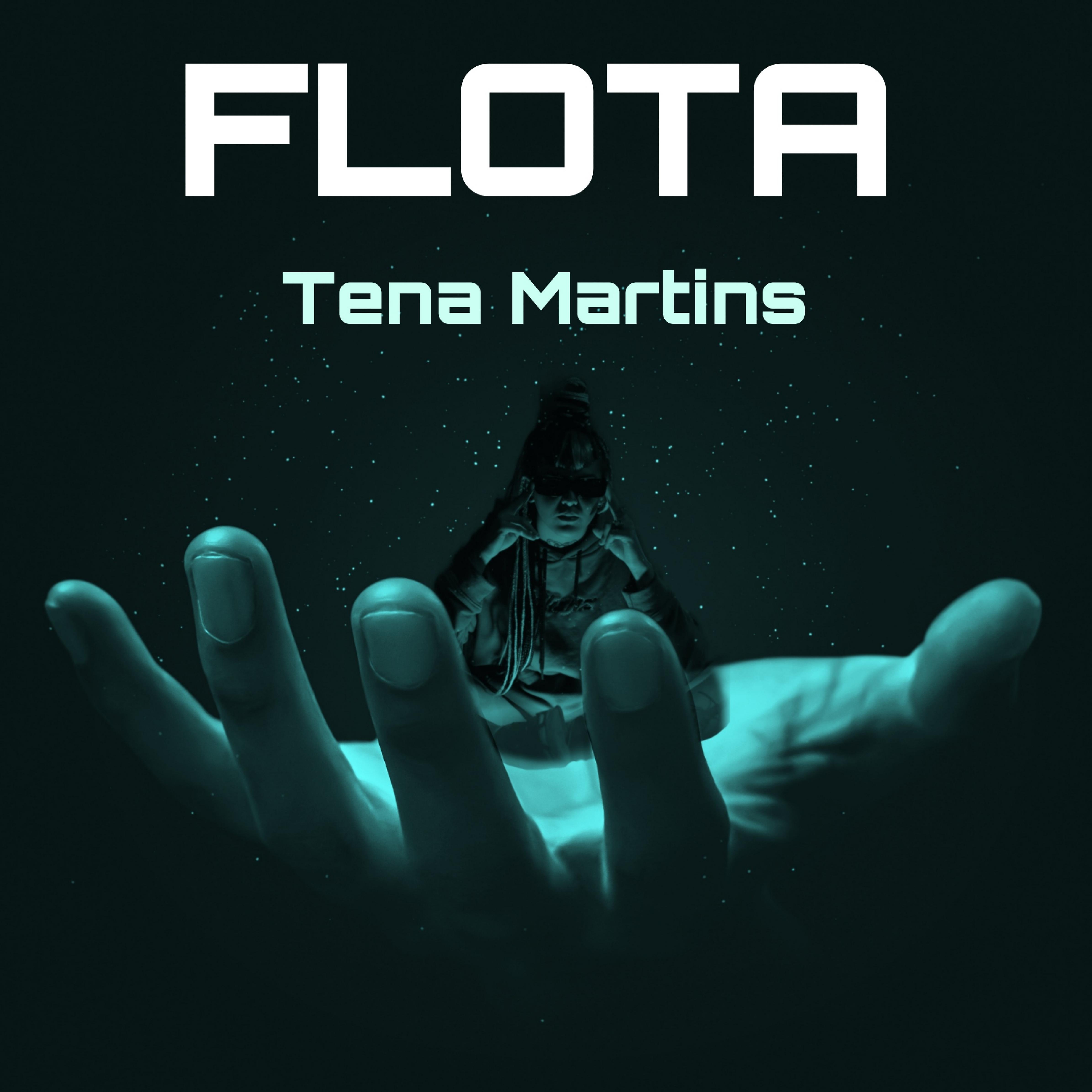 Постер альбома Flota