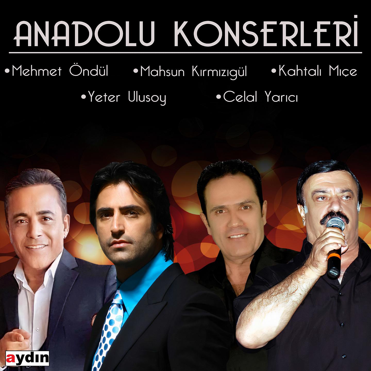 Постер альбома Anadolu Konserleri