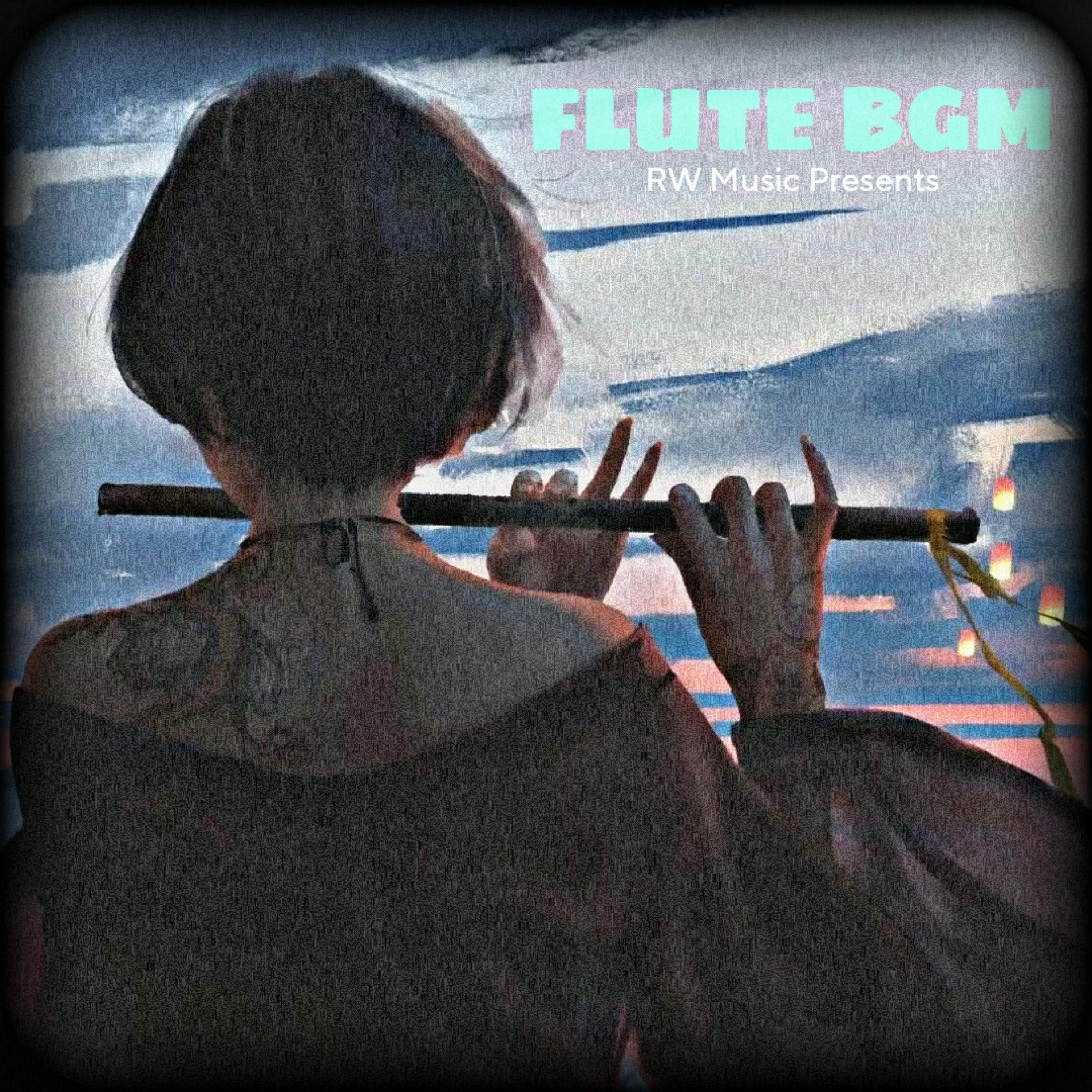 Постер альбома FLUTE BGM(Instrumental)