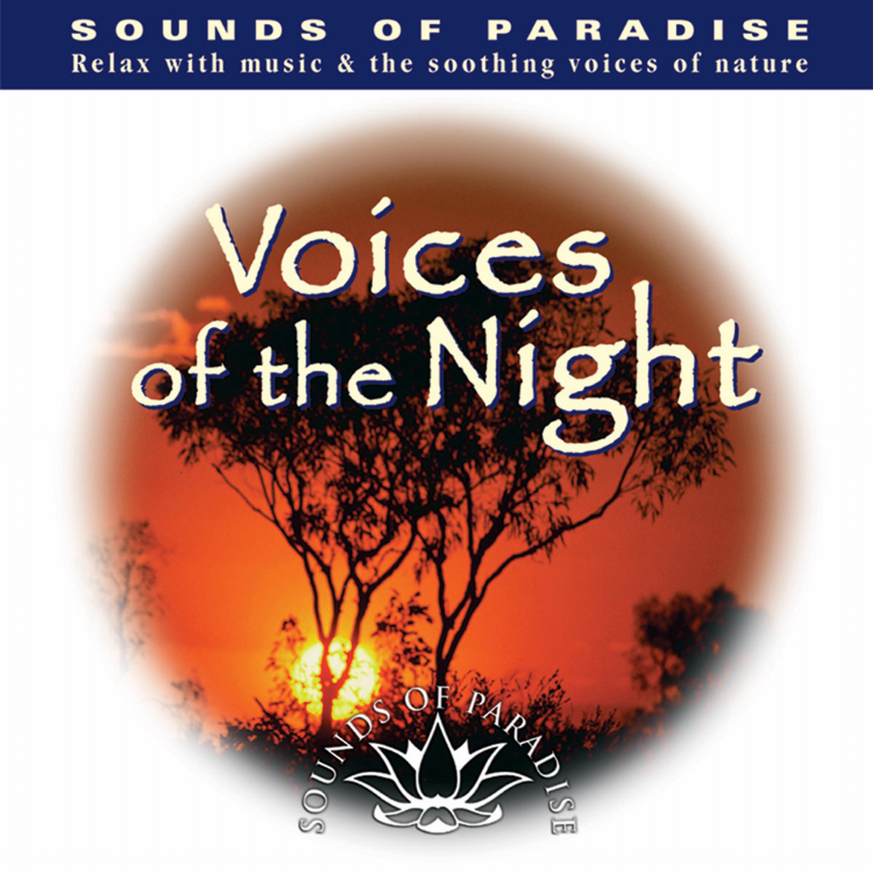 Постер альбома Voices Of The Night