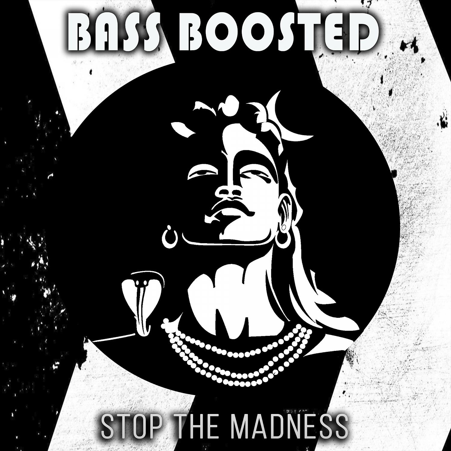 Постер альбома Stop The Madness