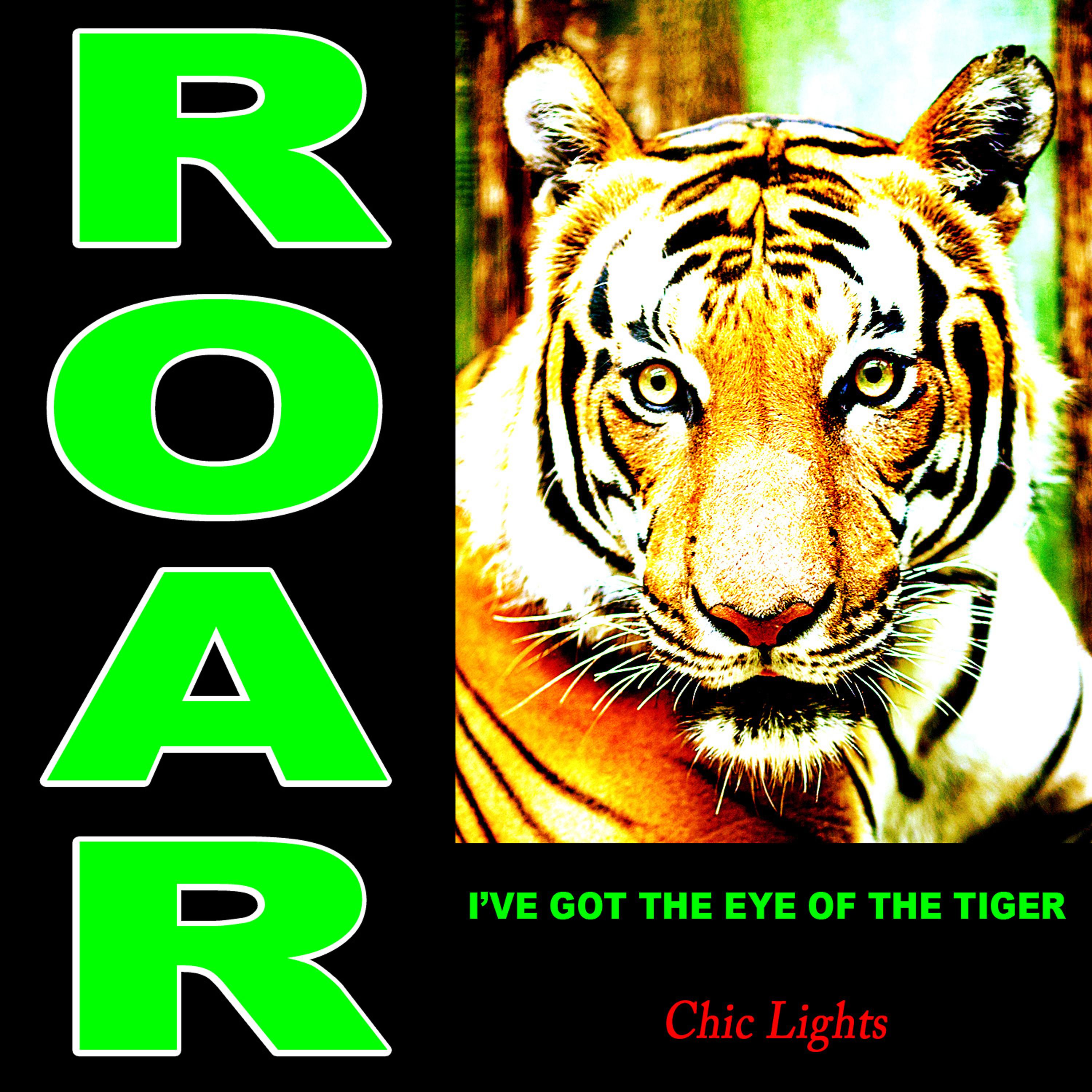 Постер альбома Roar I've Got the Eye of the Tiger