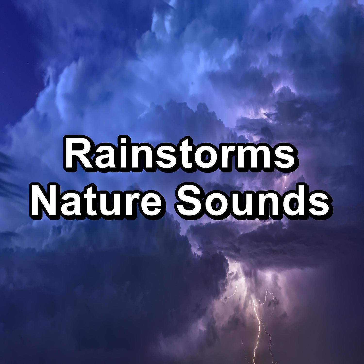 Постер альбома Rainstorms Nature Sounds