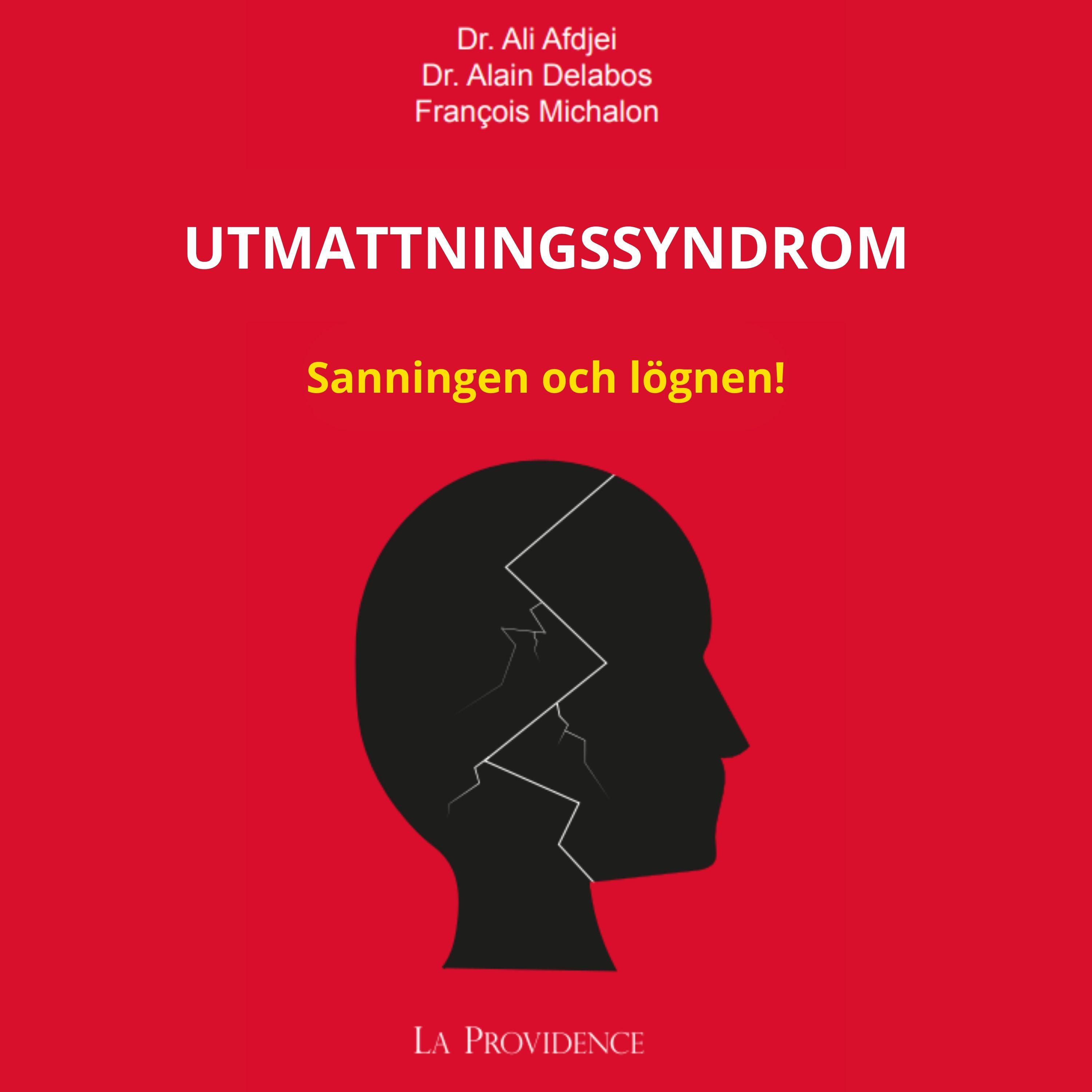 Постер альбома Utmattningssyndrom: Sanningen och lögnen!