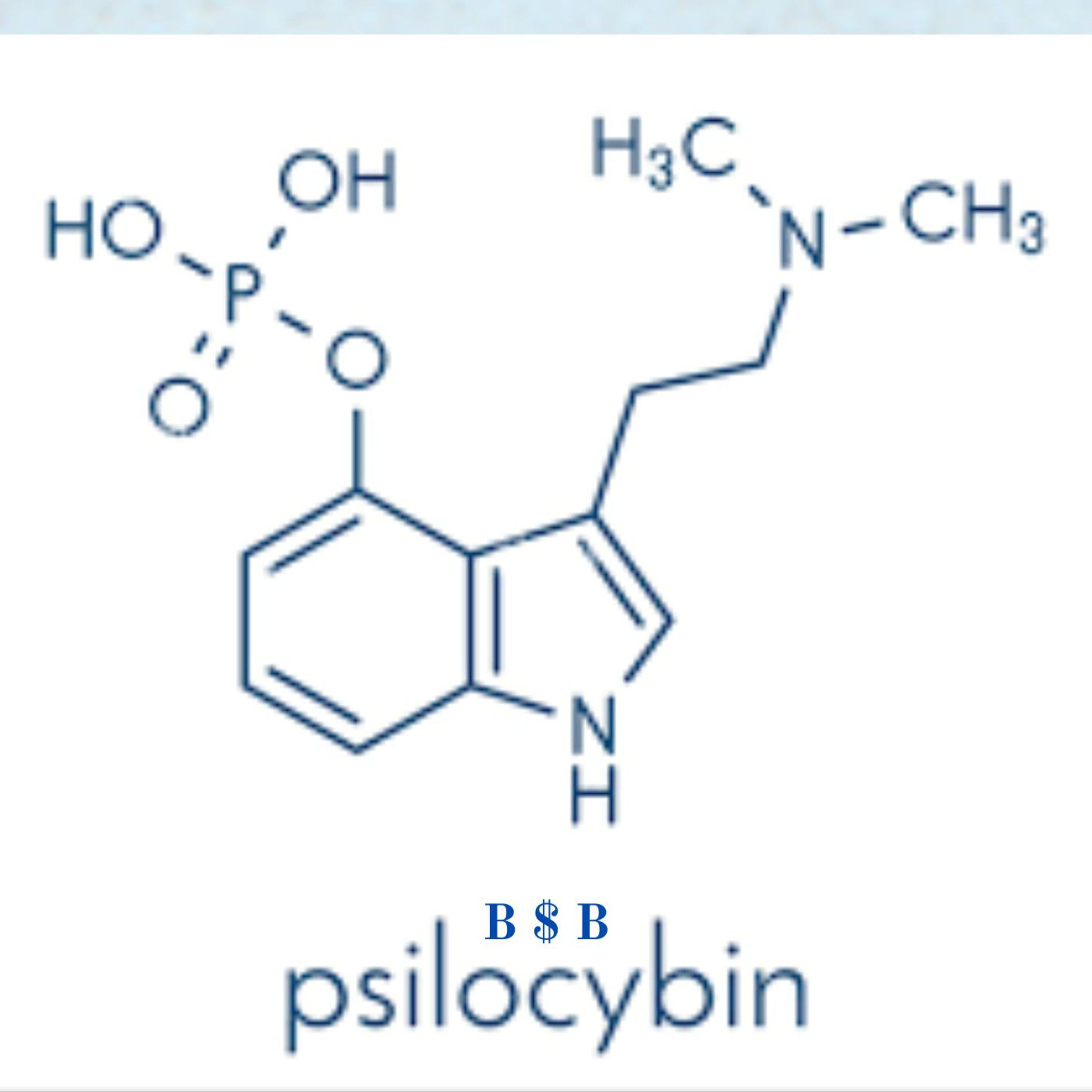 Постер альбома Psilocybin