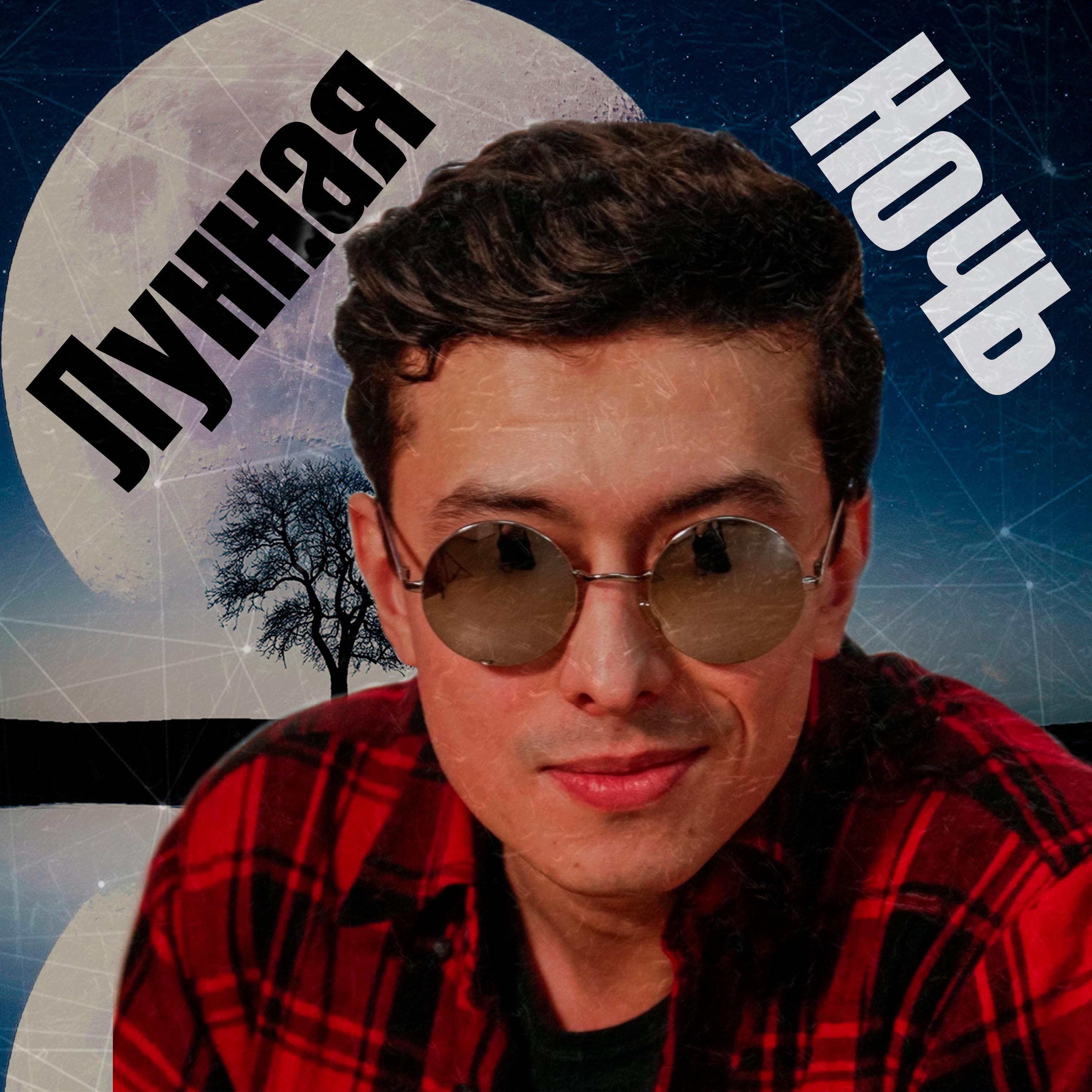 Постер альбома Лунная ночь