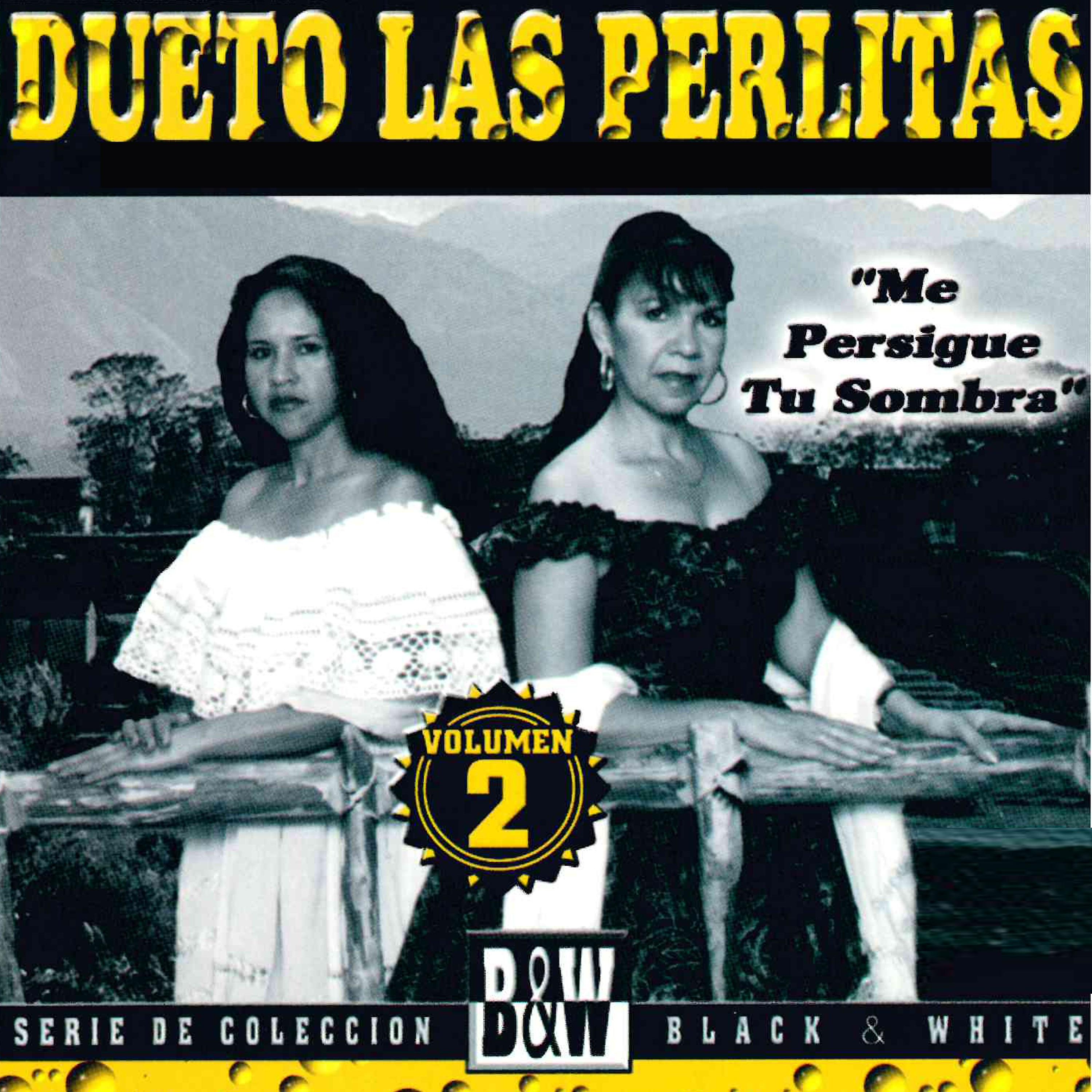 Постер альбома Me Persigue Tu Sombra, Vol. 2