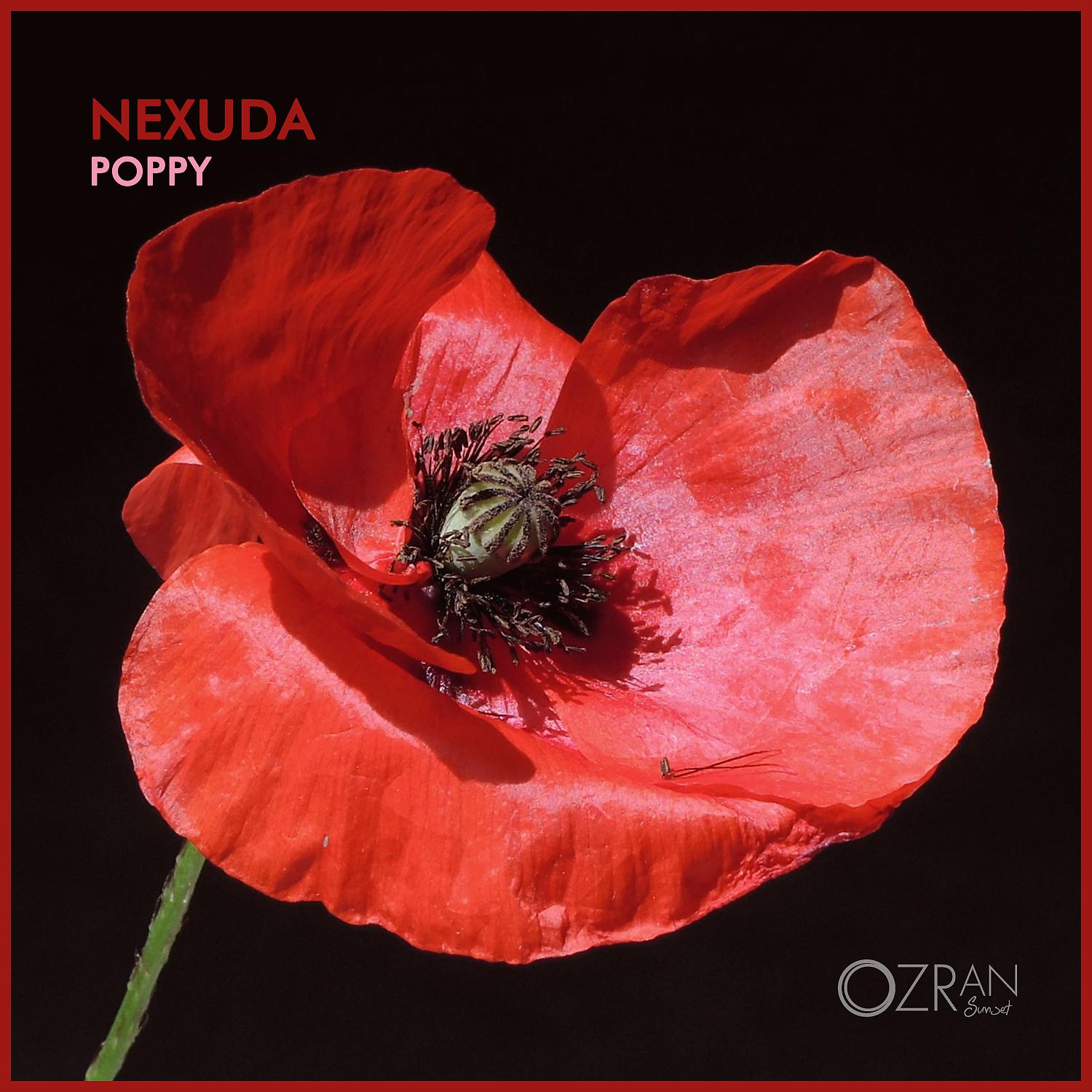 Постер альбома Poppy