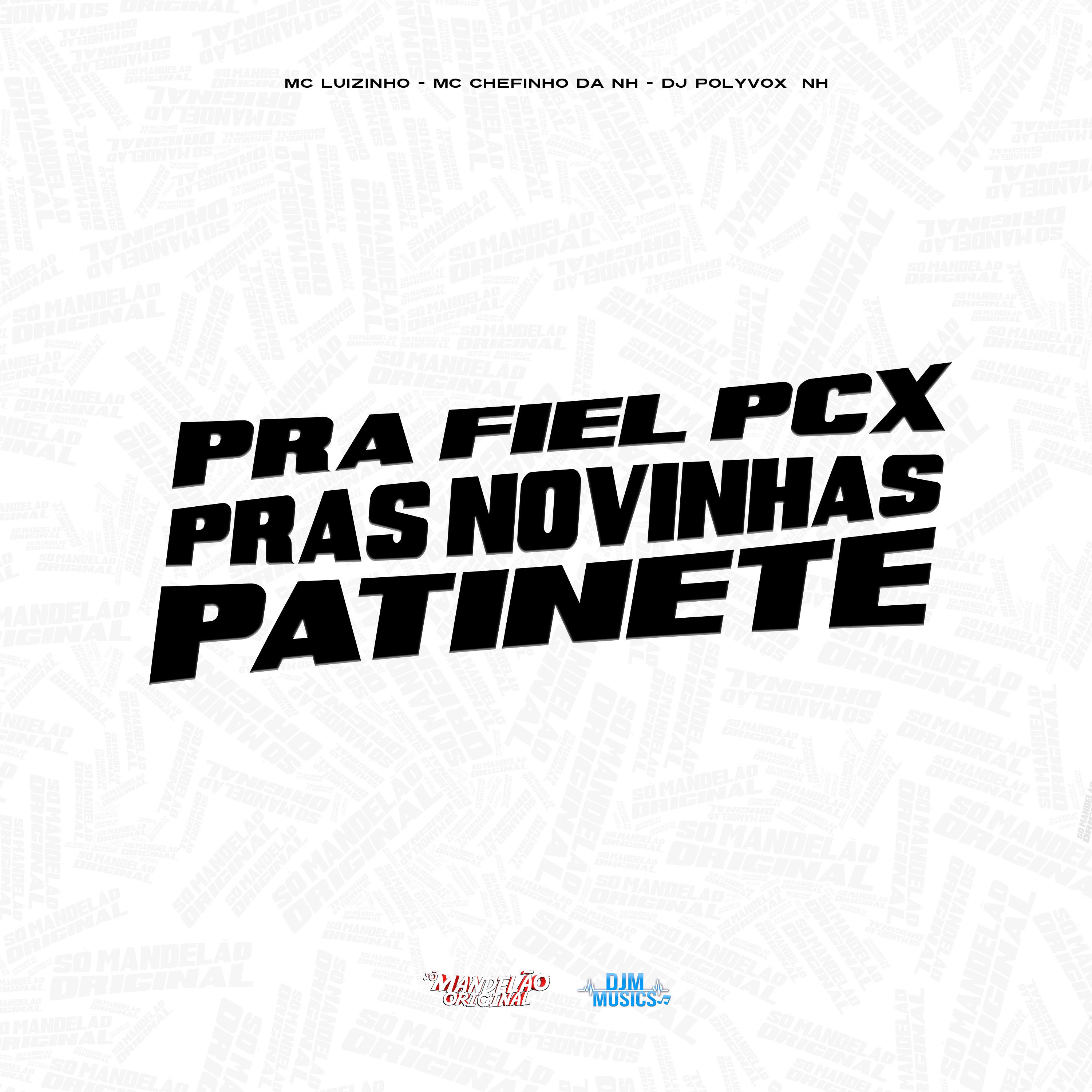 Постер альбома Pra Fiel Pcx Pras Novinhas Patinete