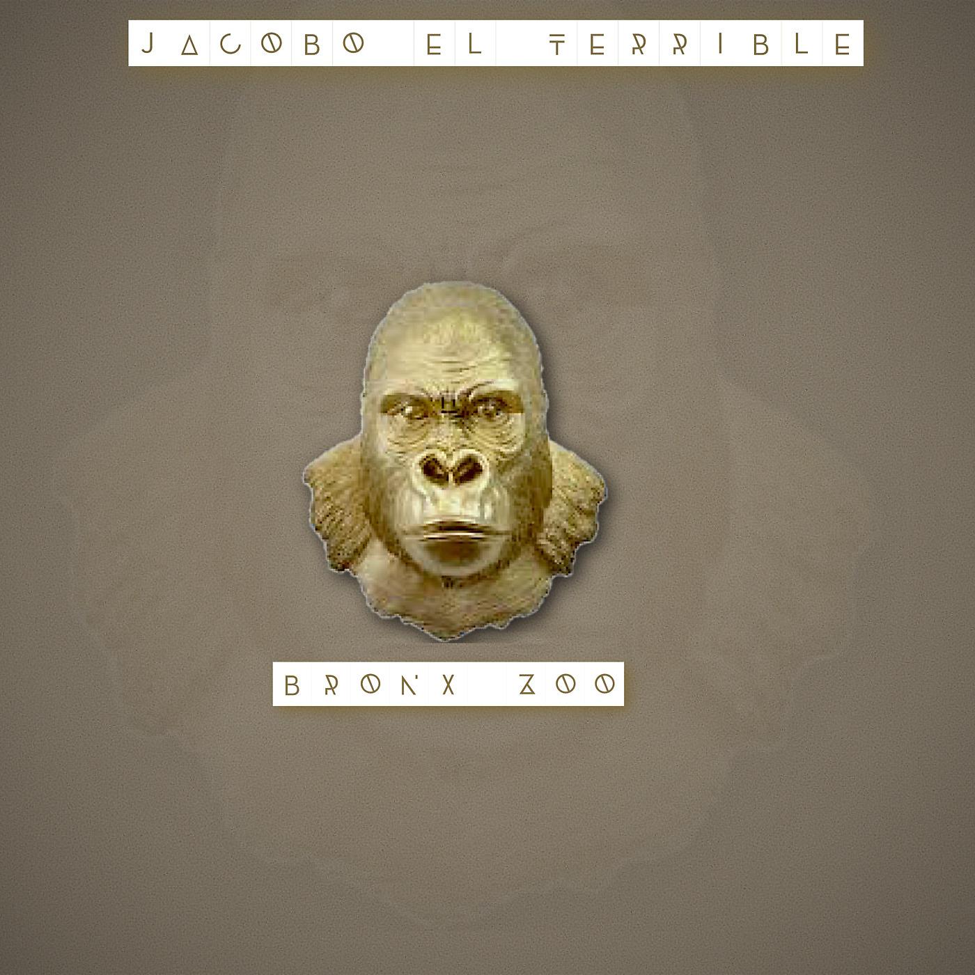 Постер альбома Bronx Zoo