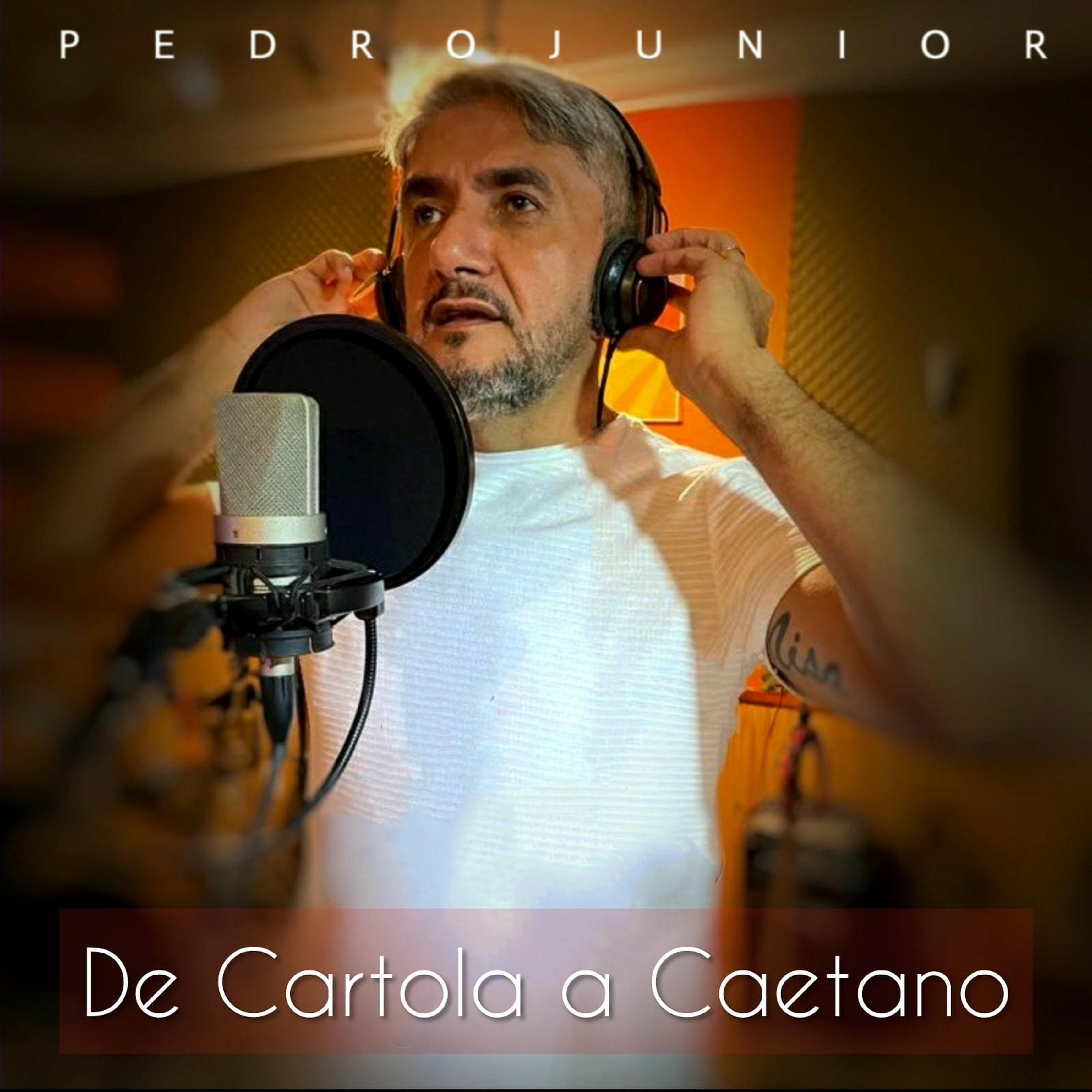 Постер альбома De Cartola a Caetano