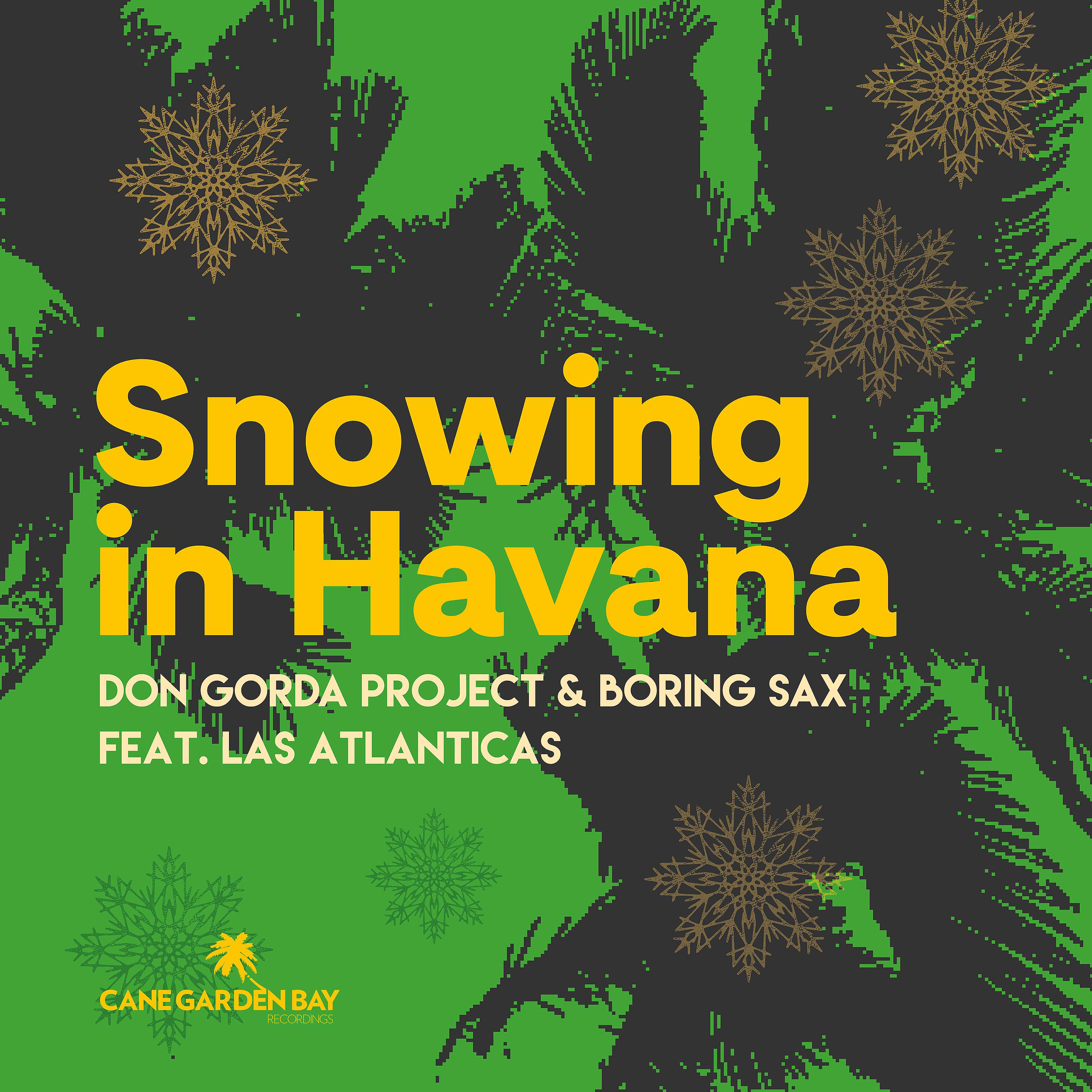 Постер альбома Snowing in Havana