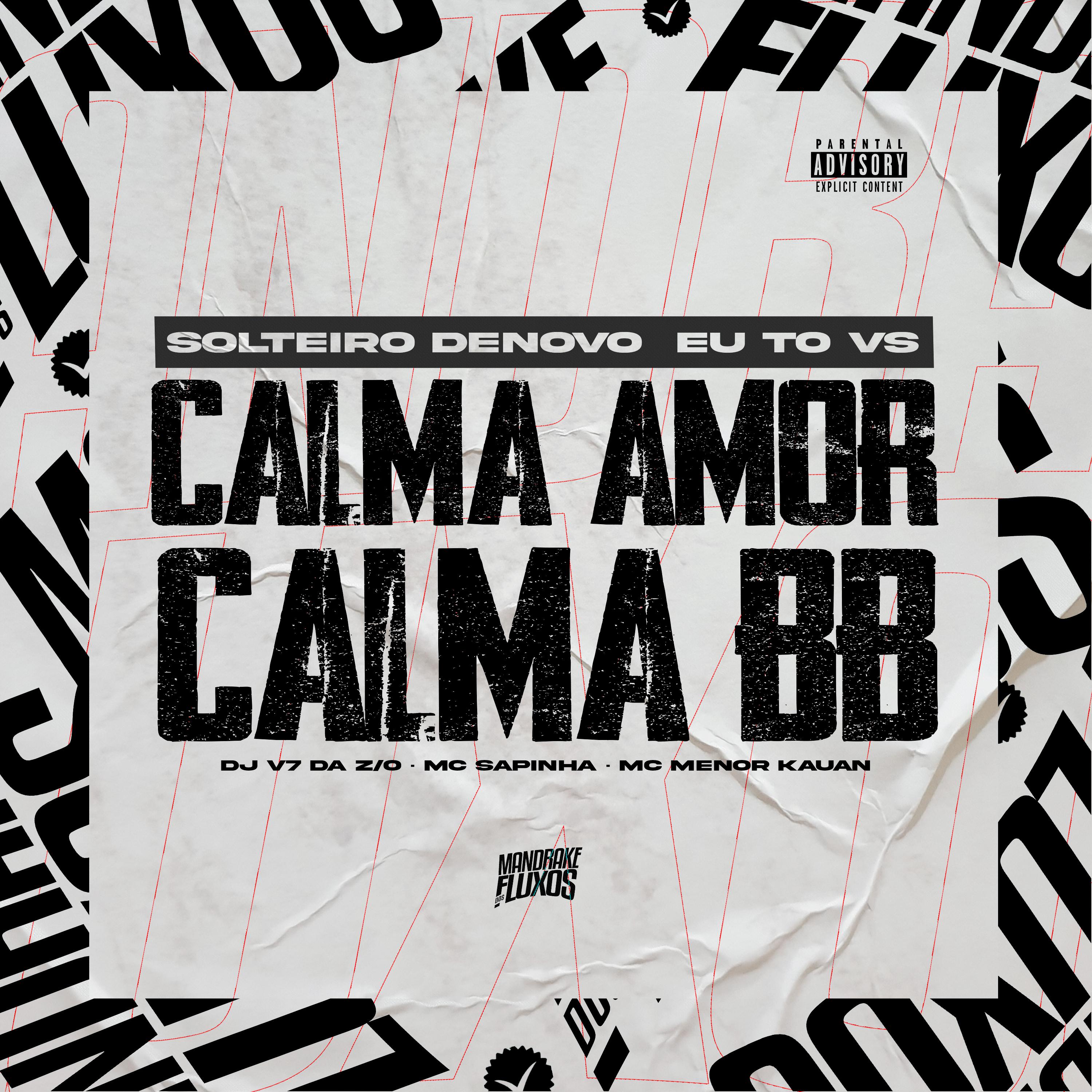 Постер альбома Solteiro Denovo eu To VS Calma Amor Calma BB