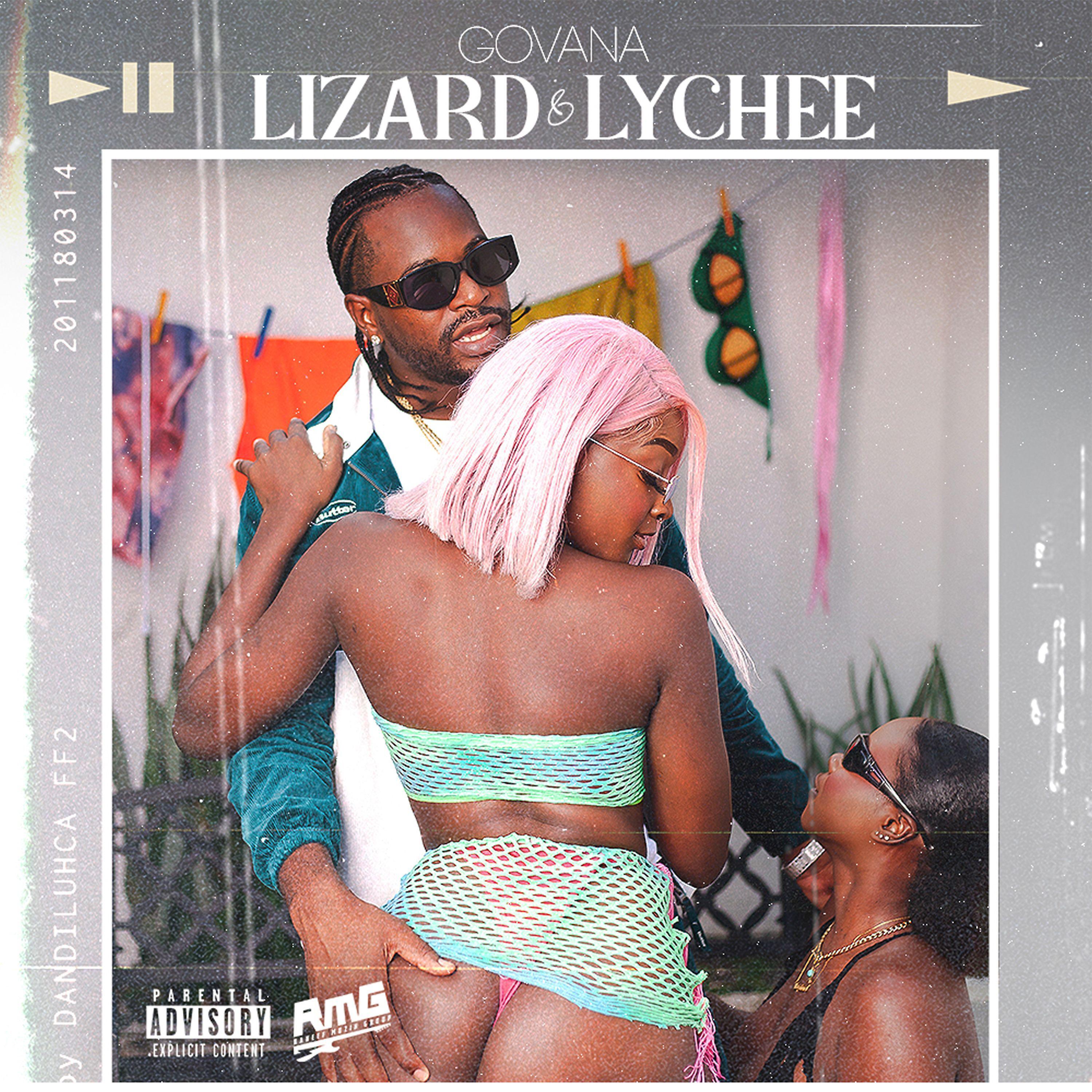 Постер альбома Lizard & Lychee