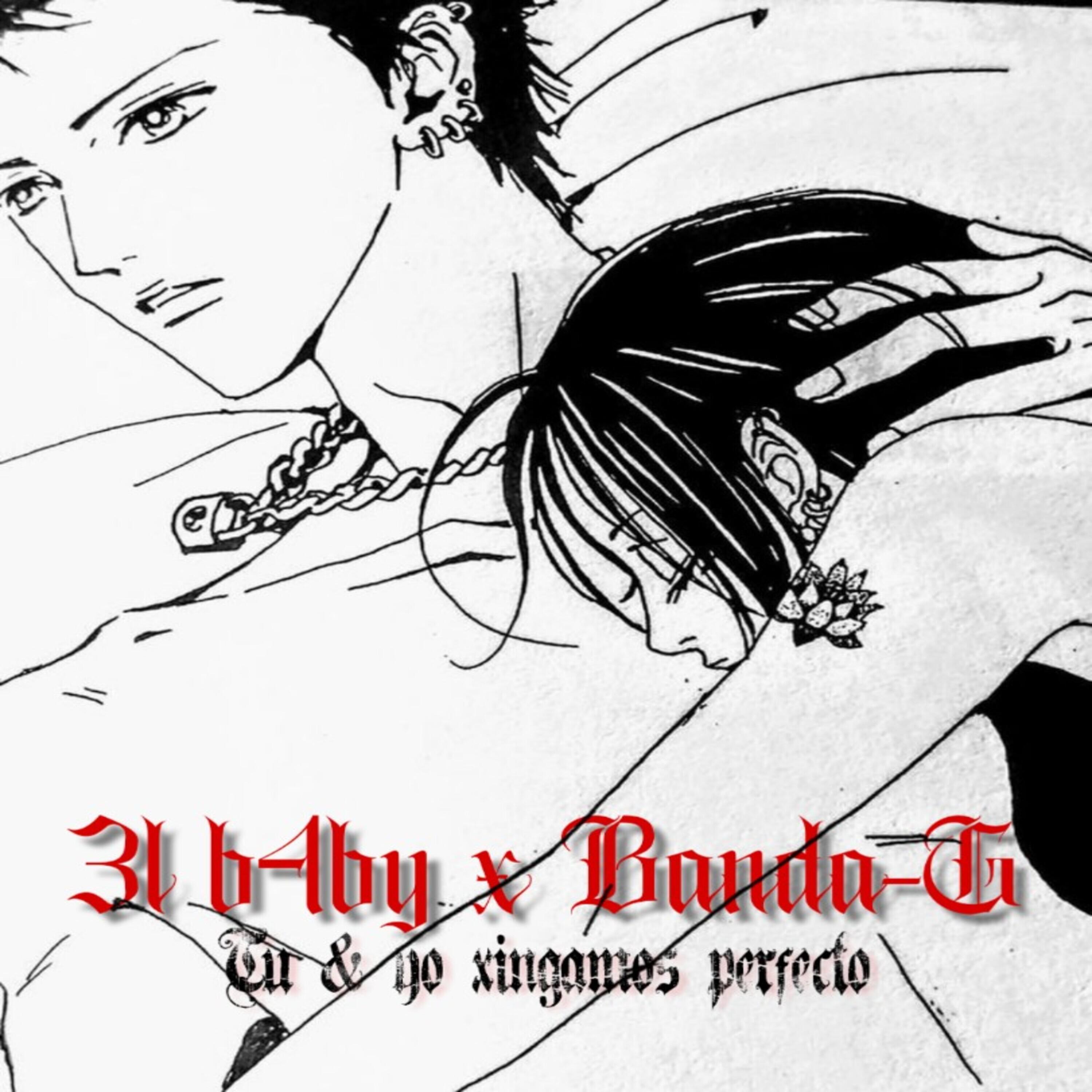 Постер альбома Tu y Yo Xingamos Perfecto