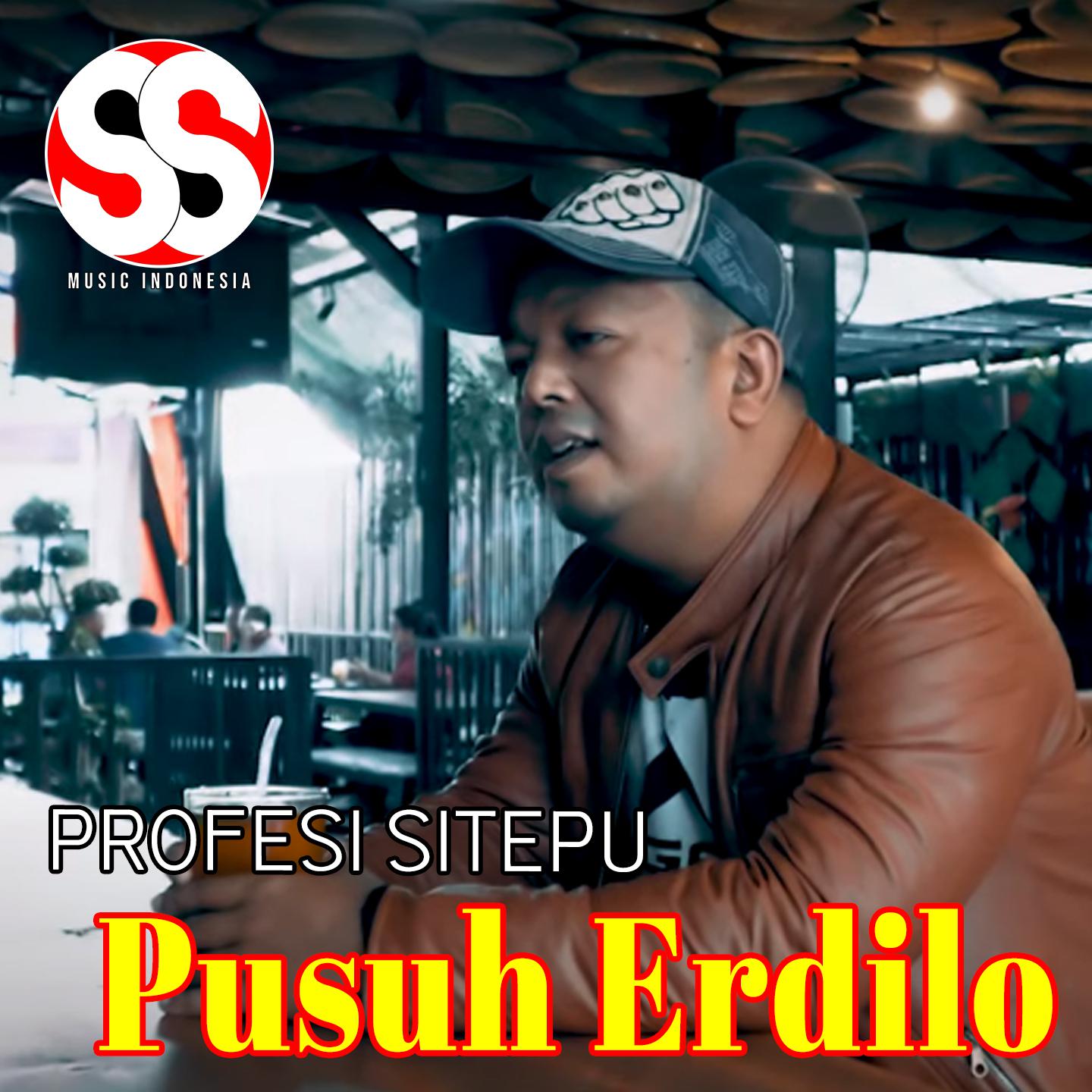 Постер альбома Pusuh Erdilo