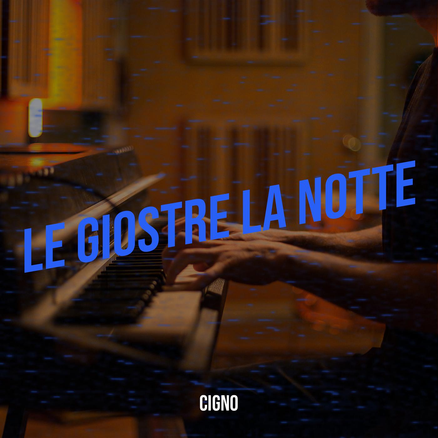 Постер альбома LE GIOSTRE LA NOTTE