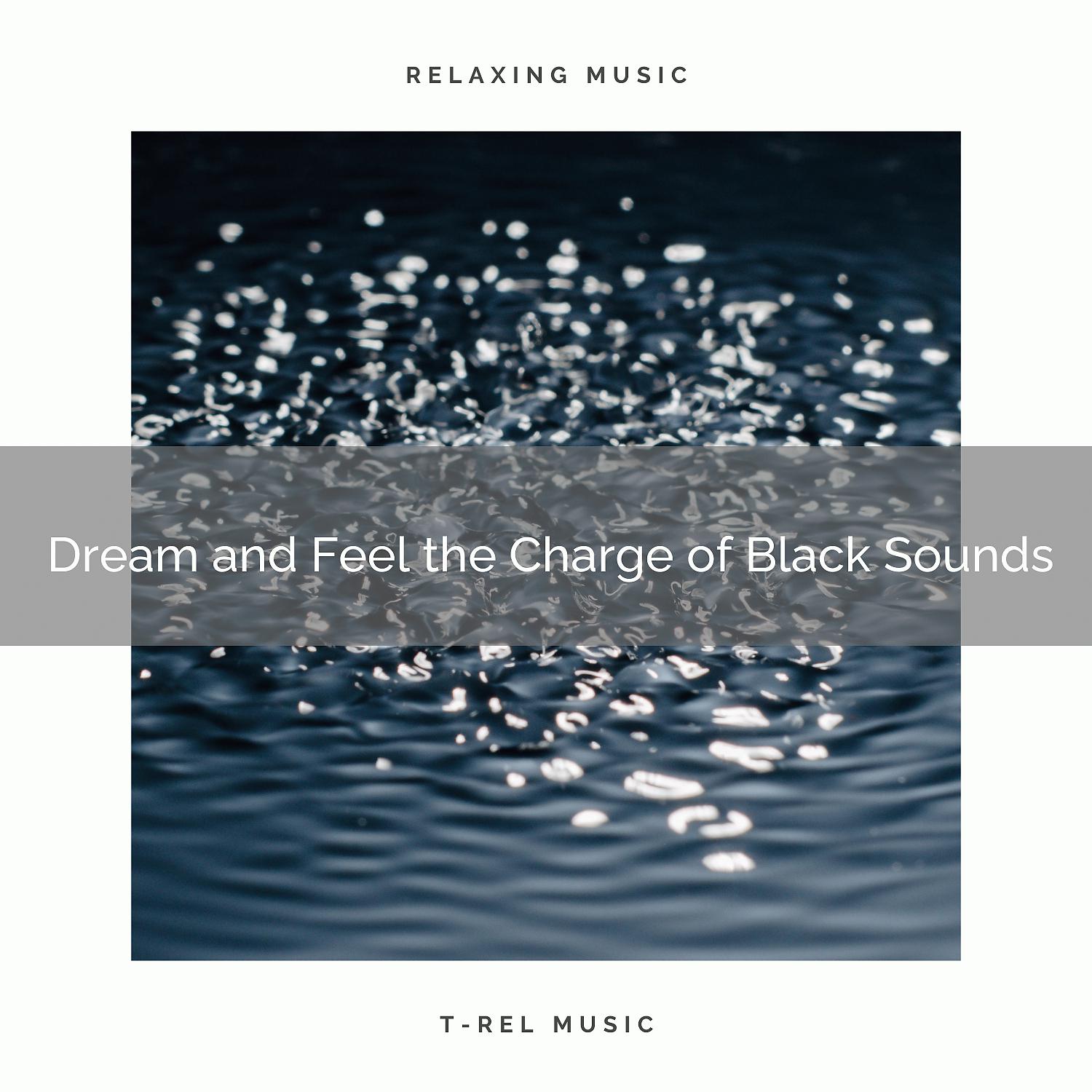 Постер альбома Dream and Feel the Charge of Black Sounds