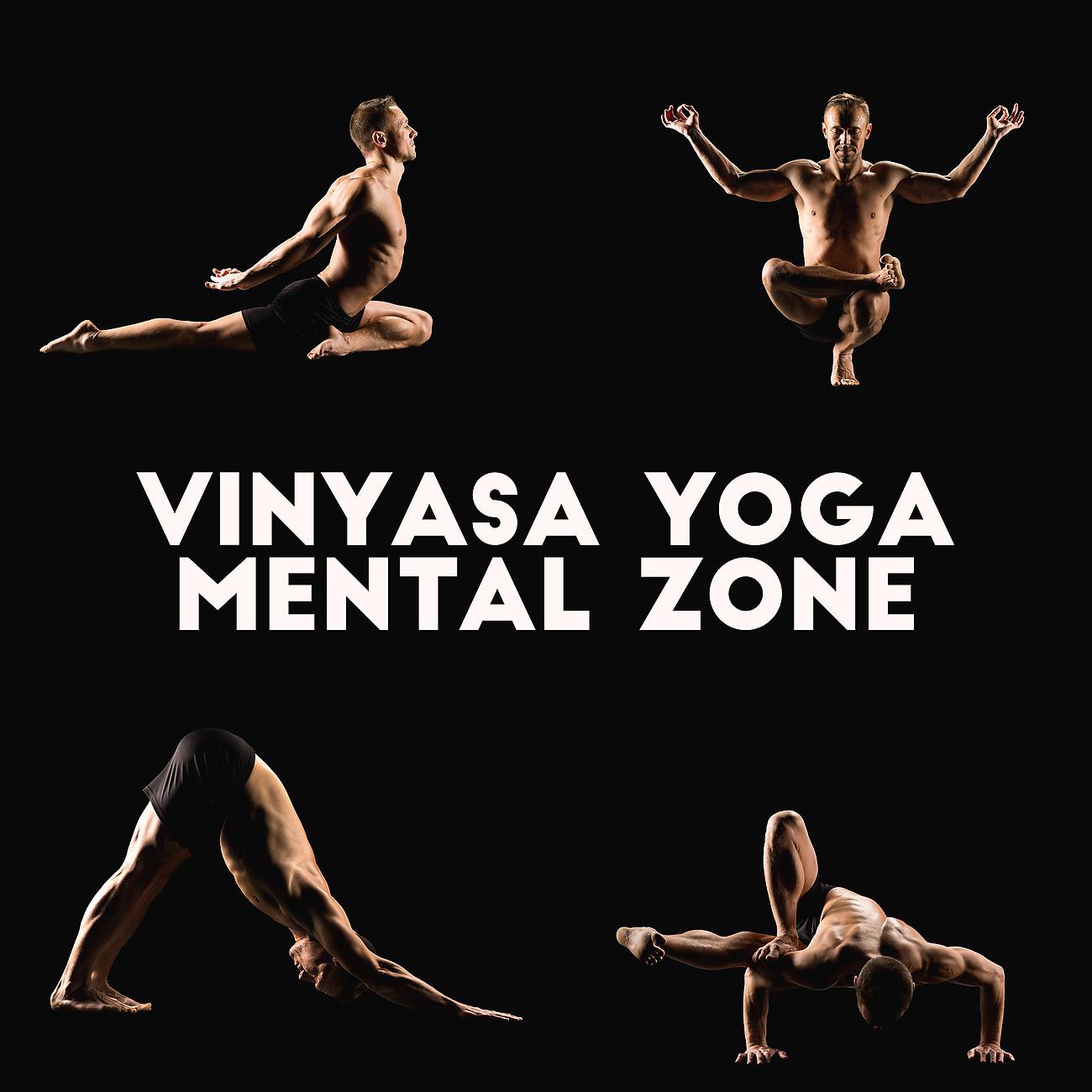 Постер альбома Vinyasa Yoga Mental Zone - Faster Pace, Greater Breathing Control, Stress Free Environment