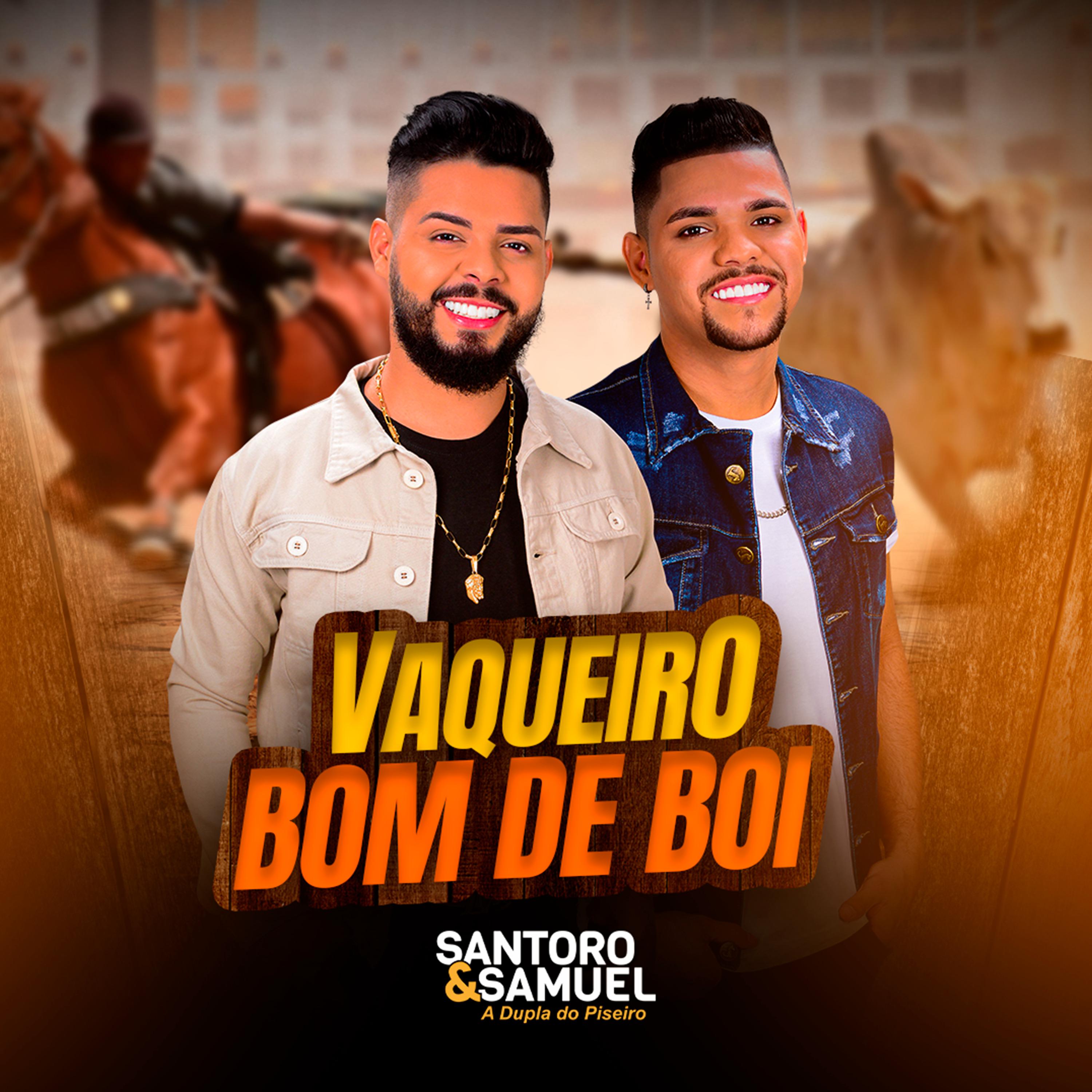 Постер альбома Vaqueiro Bom de Boi
