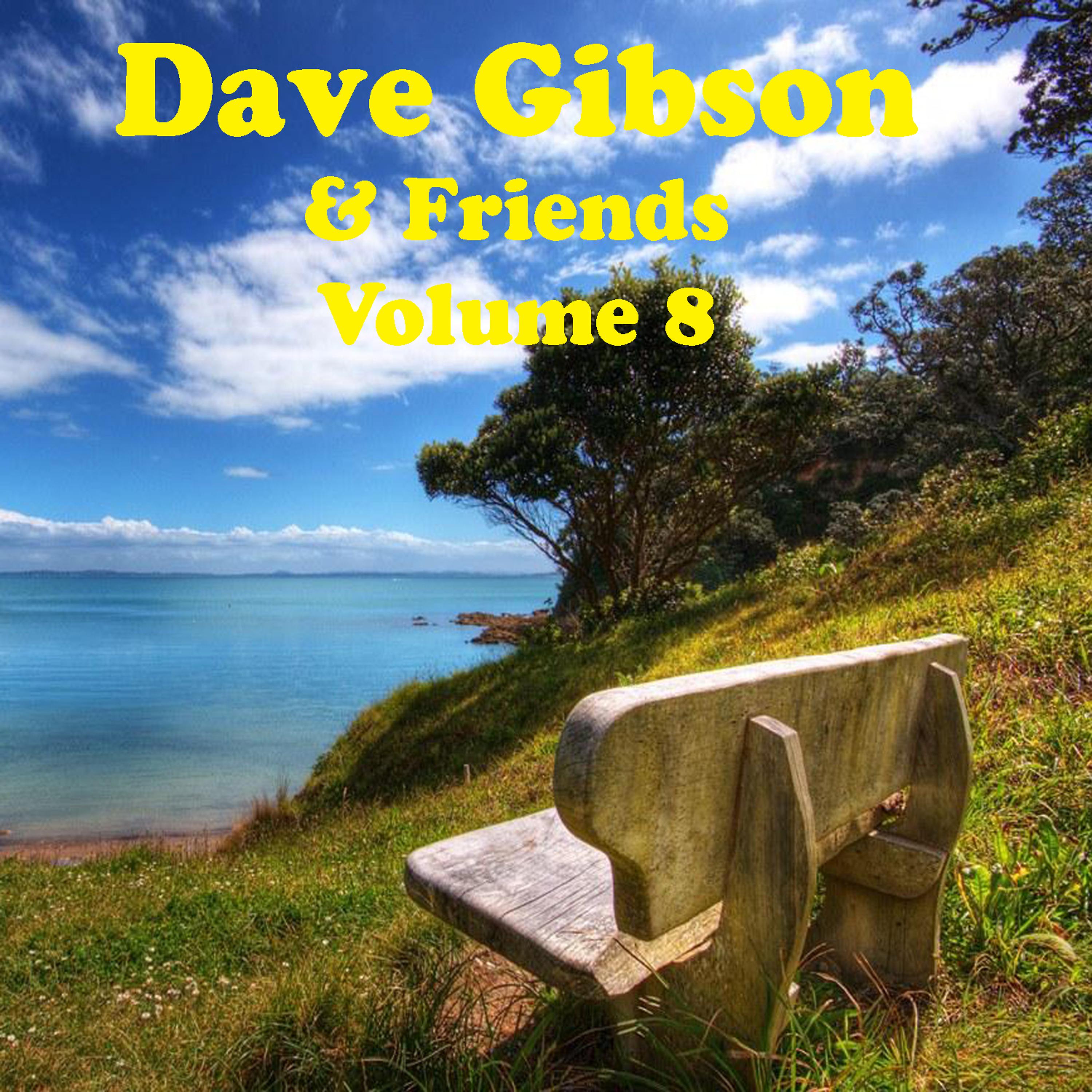 Постер альбома Dave Gibson and Friends Volume 8