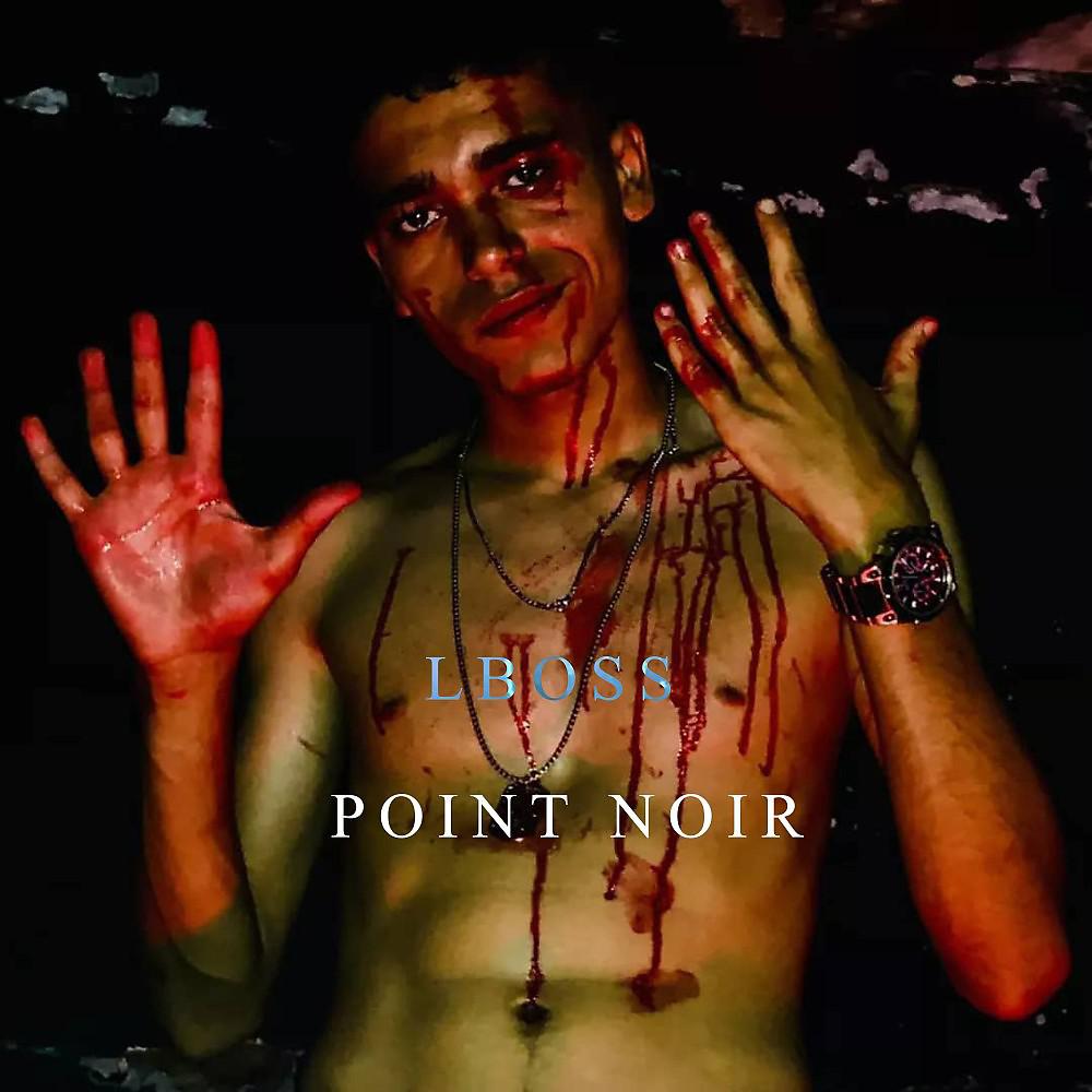 Постер альбома Point NOIR