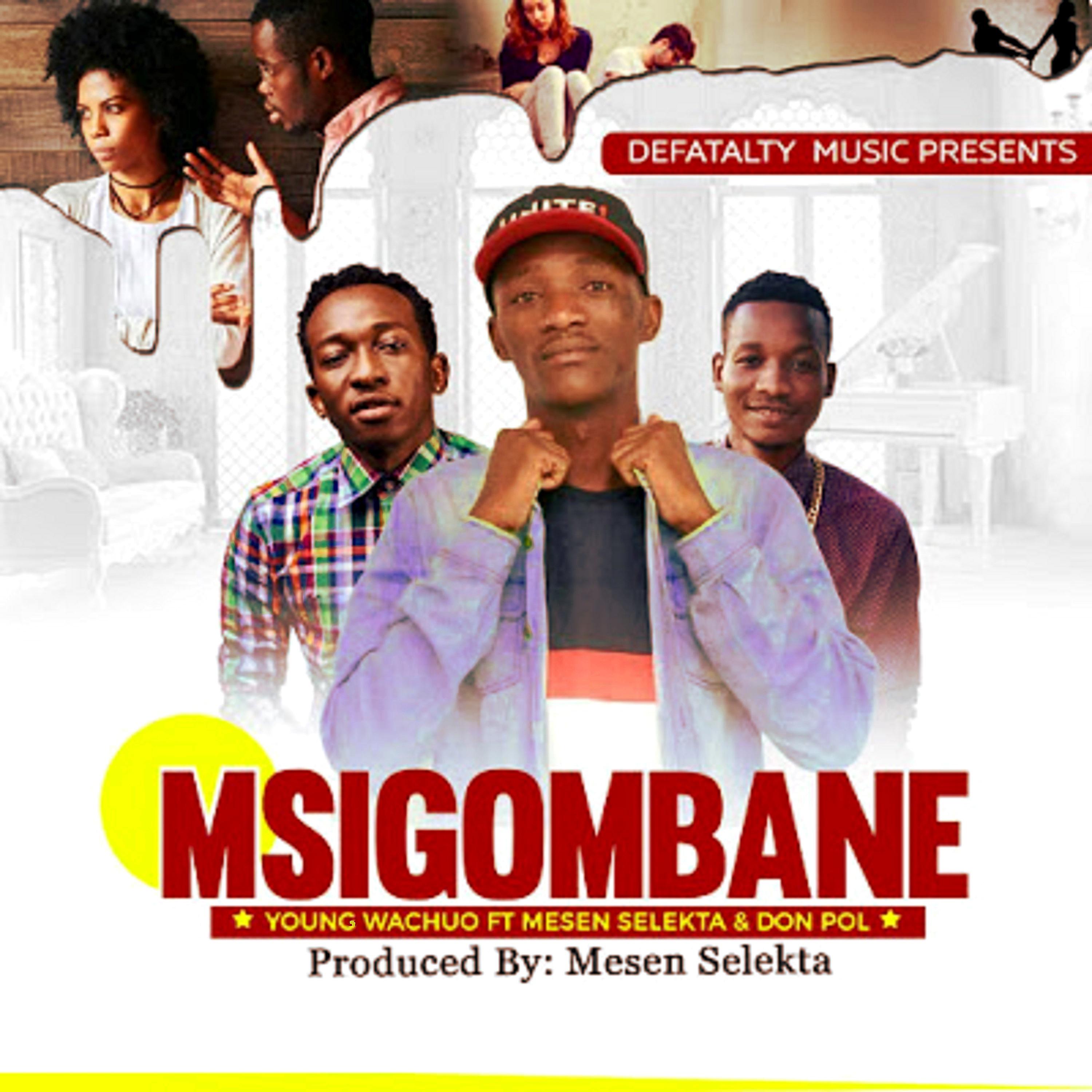 Постер альбома Msigombane
