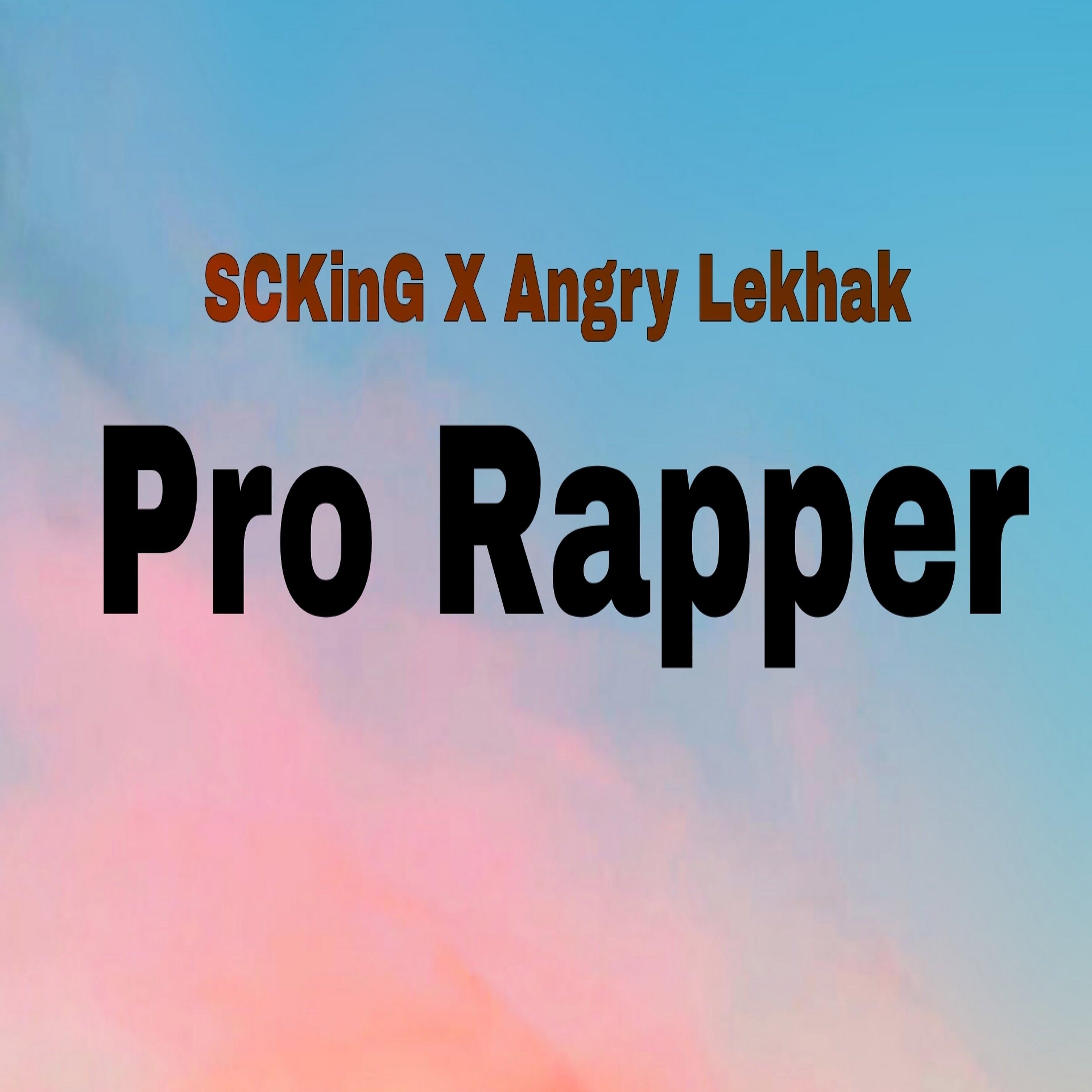 Постер альбома Pro Rapper